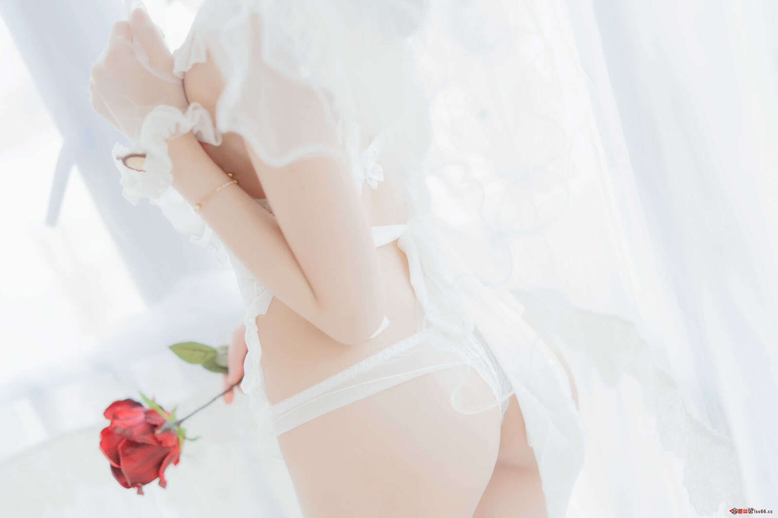 https://www.lss77.com/wp-content/uploads/2021/01/0030-3-1600x1067.jpg