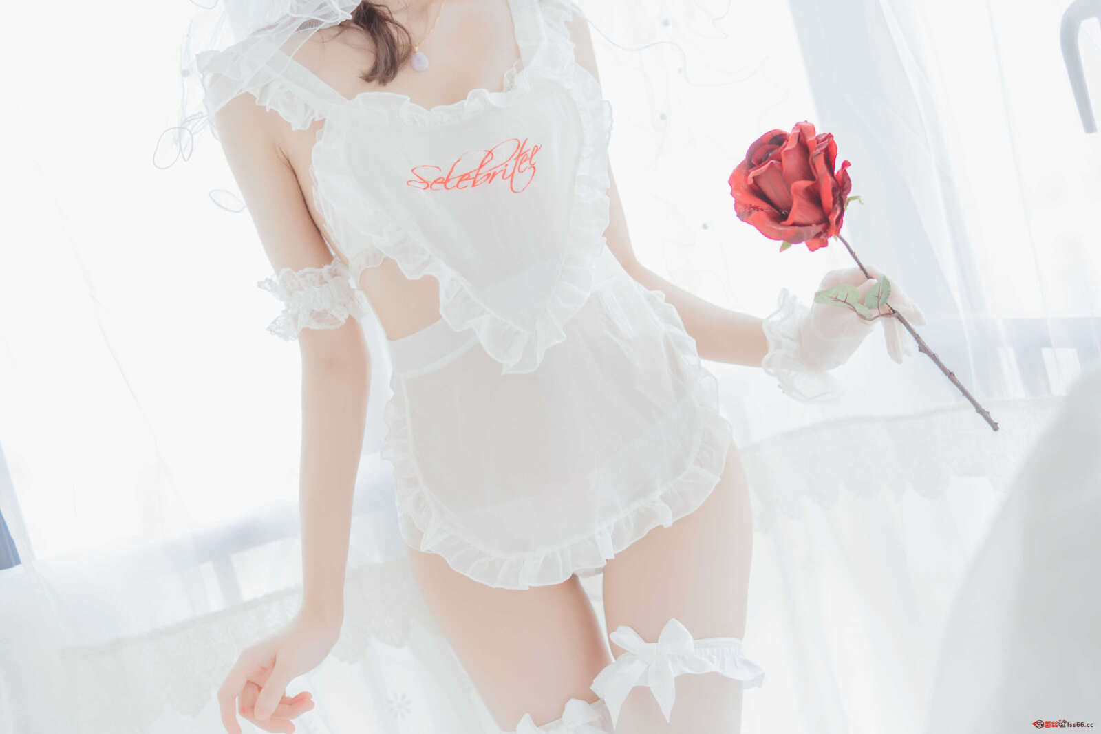 https://www.lss77.com/wp-content/uploads/2021/01/0031-2-1600x1067.jpg