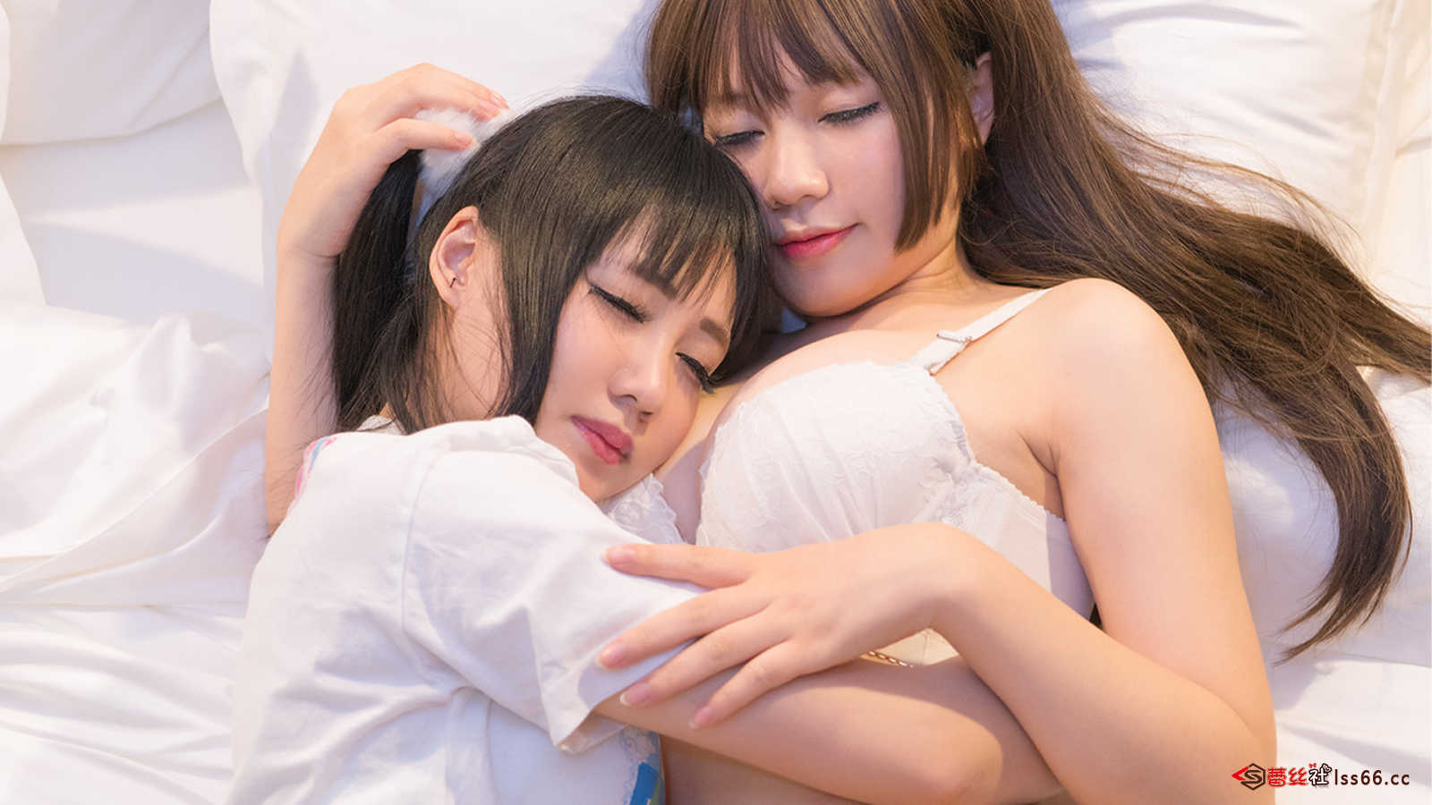 https://www.lss77.com/wp-content/uploads/2021/01/0081-8.jpg