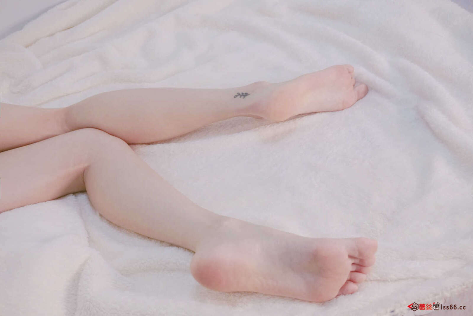https://www.lss77.com/wp-content/uploads/2021/01/11）-2-1600x1069.jpg