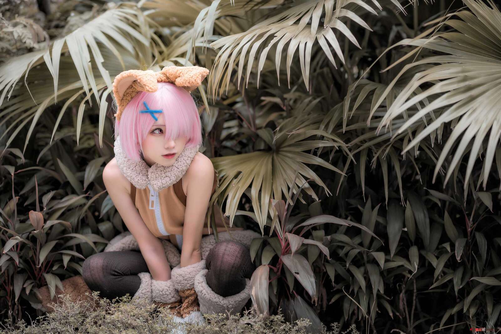 https://www.lss77.com/wp-content/uploads/2021/01/15-13-1600x1068.jpg