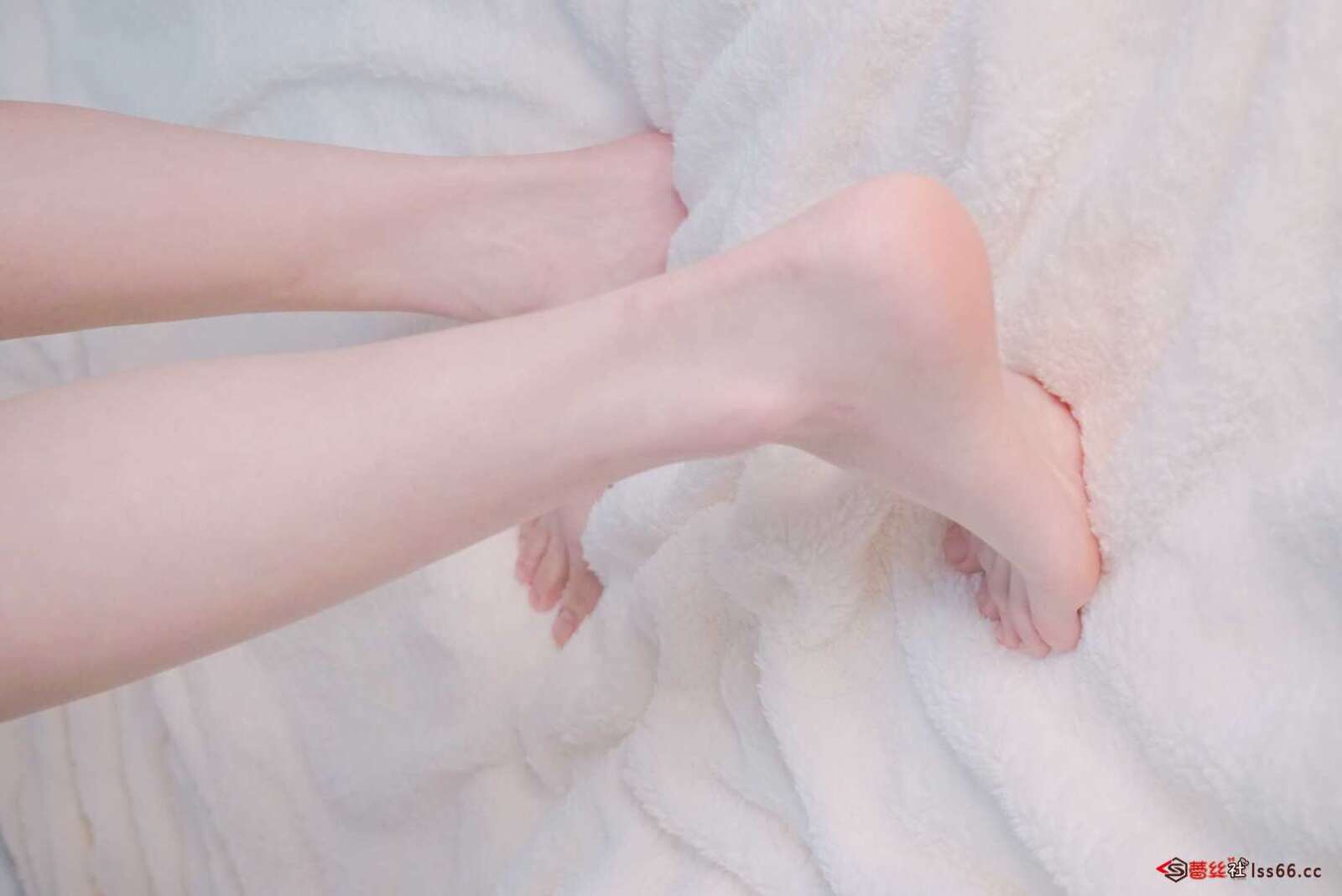https://www.lss77.com/wp-content/uploads/2021/01/8）-4-1600x1069.jpg