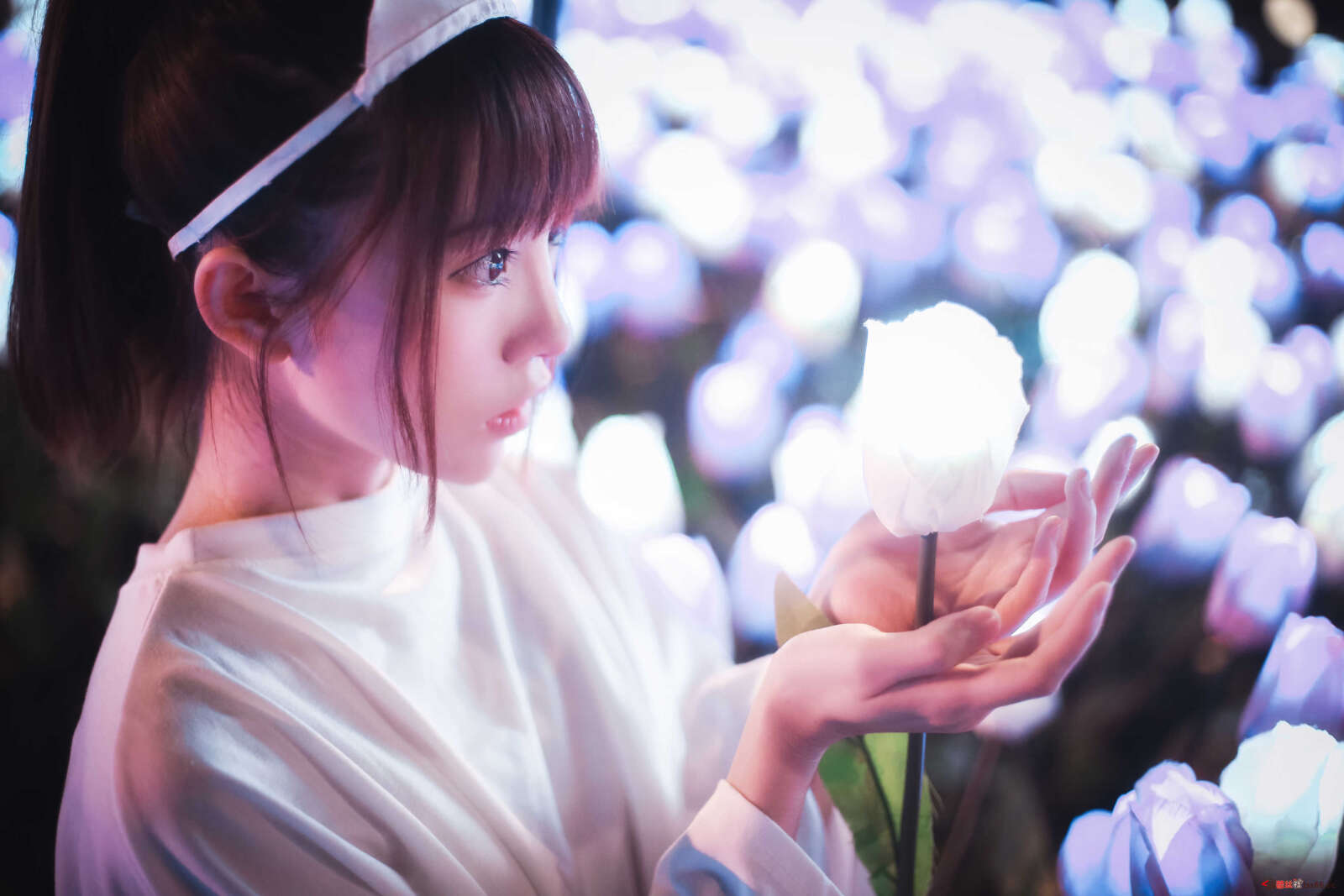 https://www.lss77.com/wp-content/uploads/2021/01/9-3-1600x1067.jpg