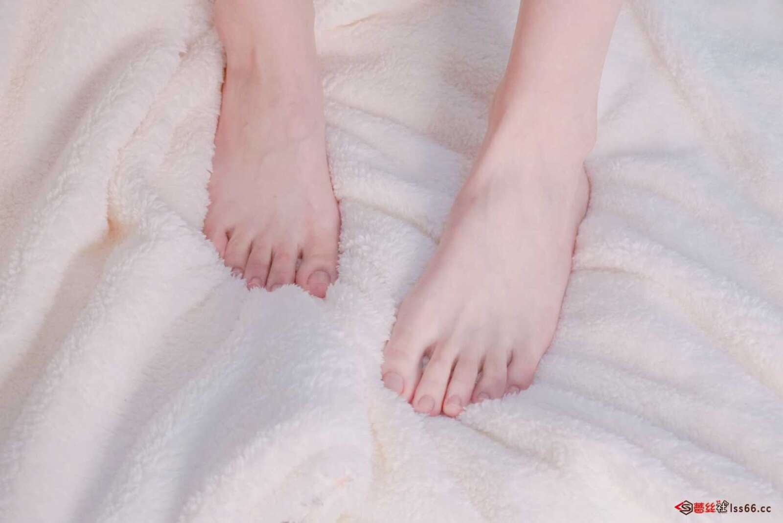 https://www.lss77.com/wp-content/uploads/2021/01/9）-4-1600x1069.jpg