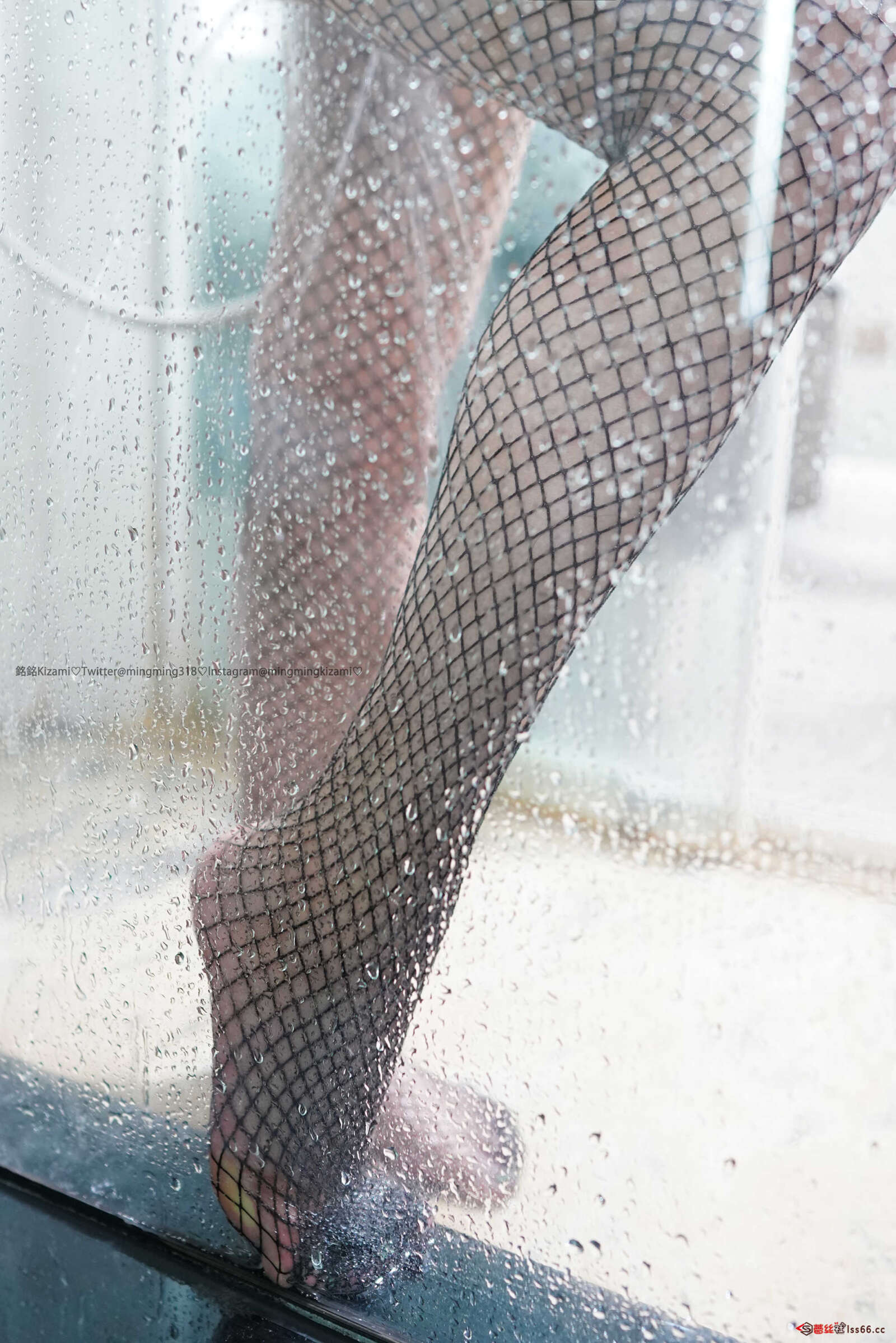 https://www.lss77.com/wp-content/uploads/2021/01/DSC01973-1600x2398.jpg