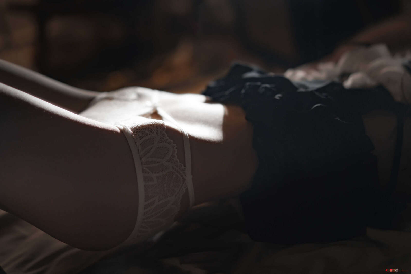 https://www.lss77.com/wp-content/uploads/2021/01/a-20-1600x1067.jpg