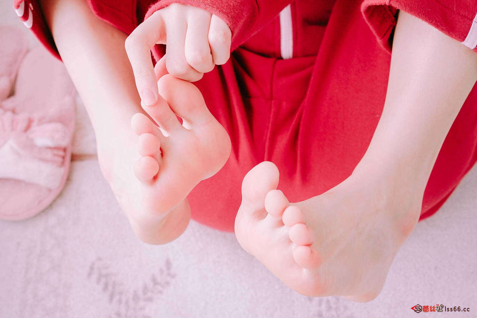 https://www.lss77.com/wp-content/uploads/2021/01/jiojio（2）-1600x1069.jpg