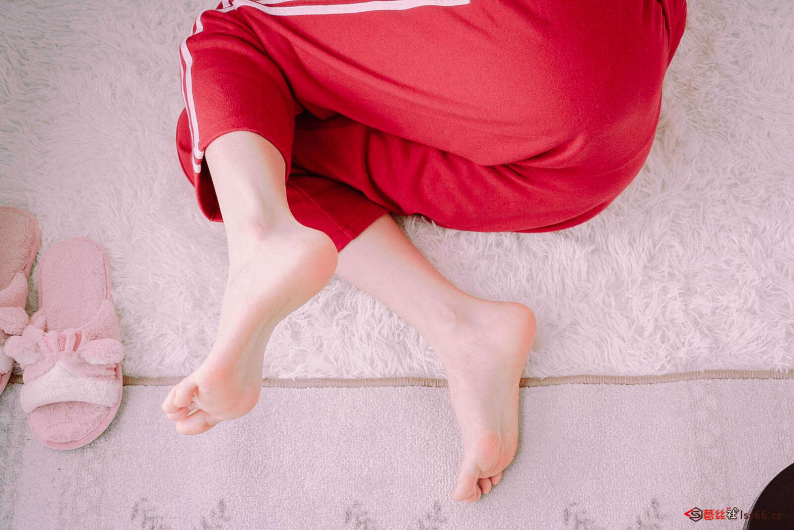 https://www.lss77.com/wp-content/uploads/2021/01/jiojio（4）-1600x1069.jpg