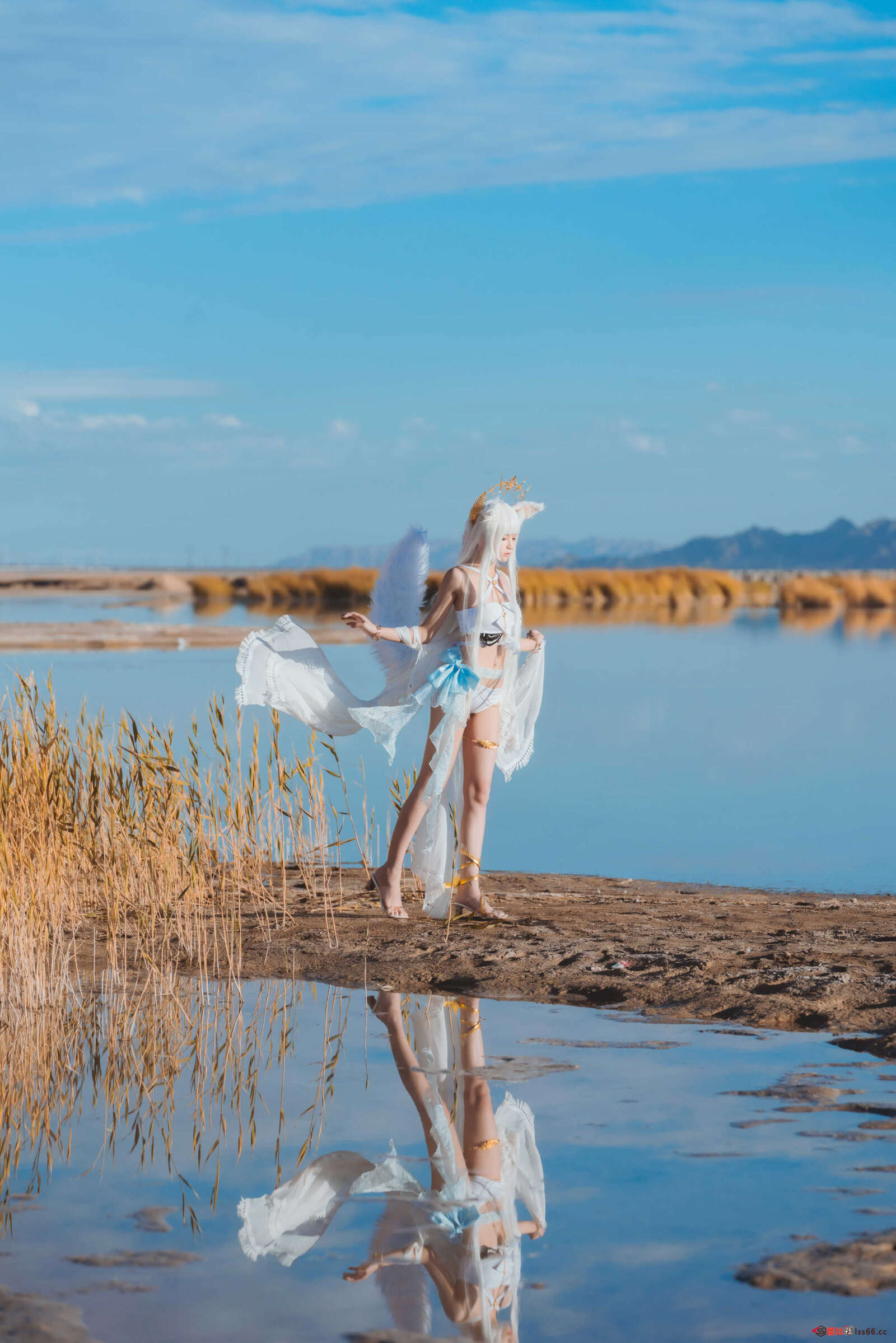 https://www.lss77.com/wp-content/uploads/2021/01/lss-12-15-1600x2398.jpg