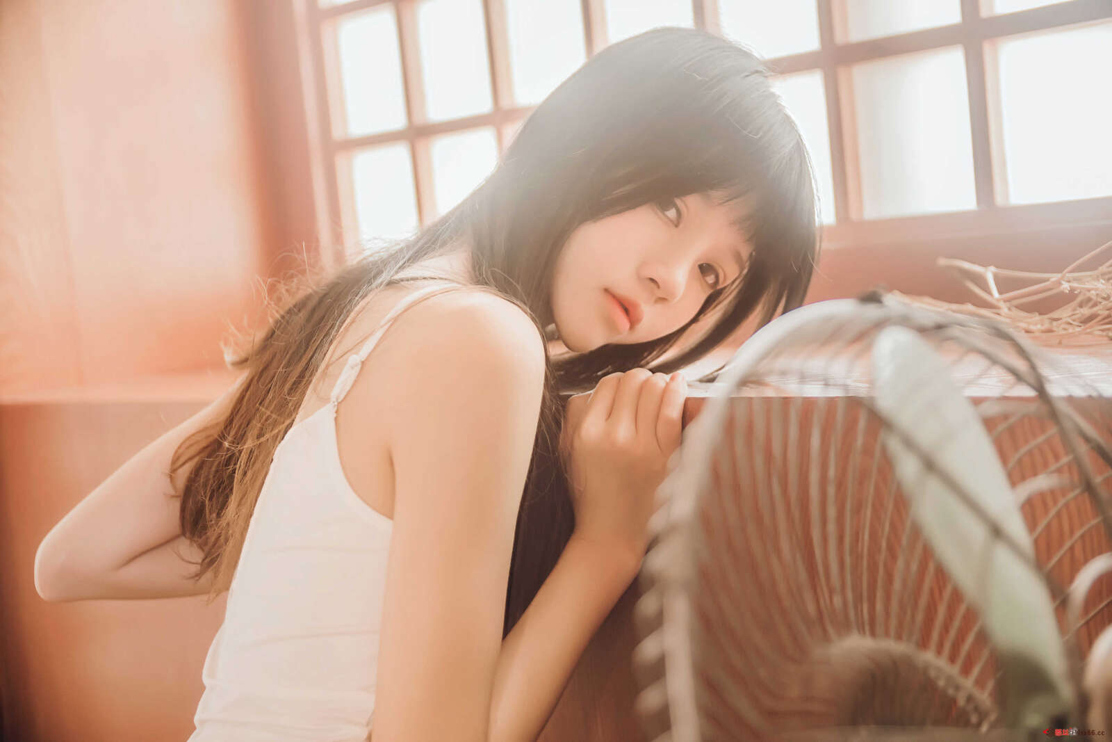https://www.lss77.com/wp-content/uploads/2021/01/lss-128-1600x1067.jpg