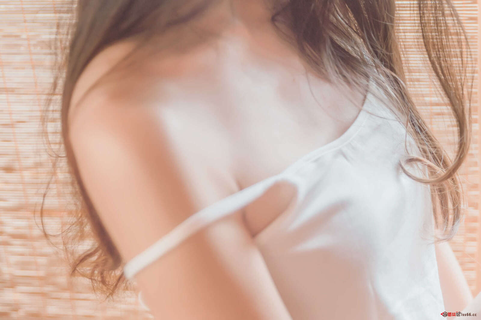 https://www.lss77.com/wp-content/uploads/2021/01/lss-141-1600x1066.jpg