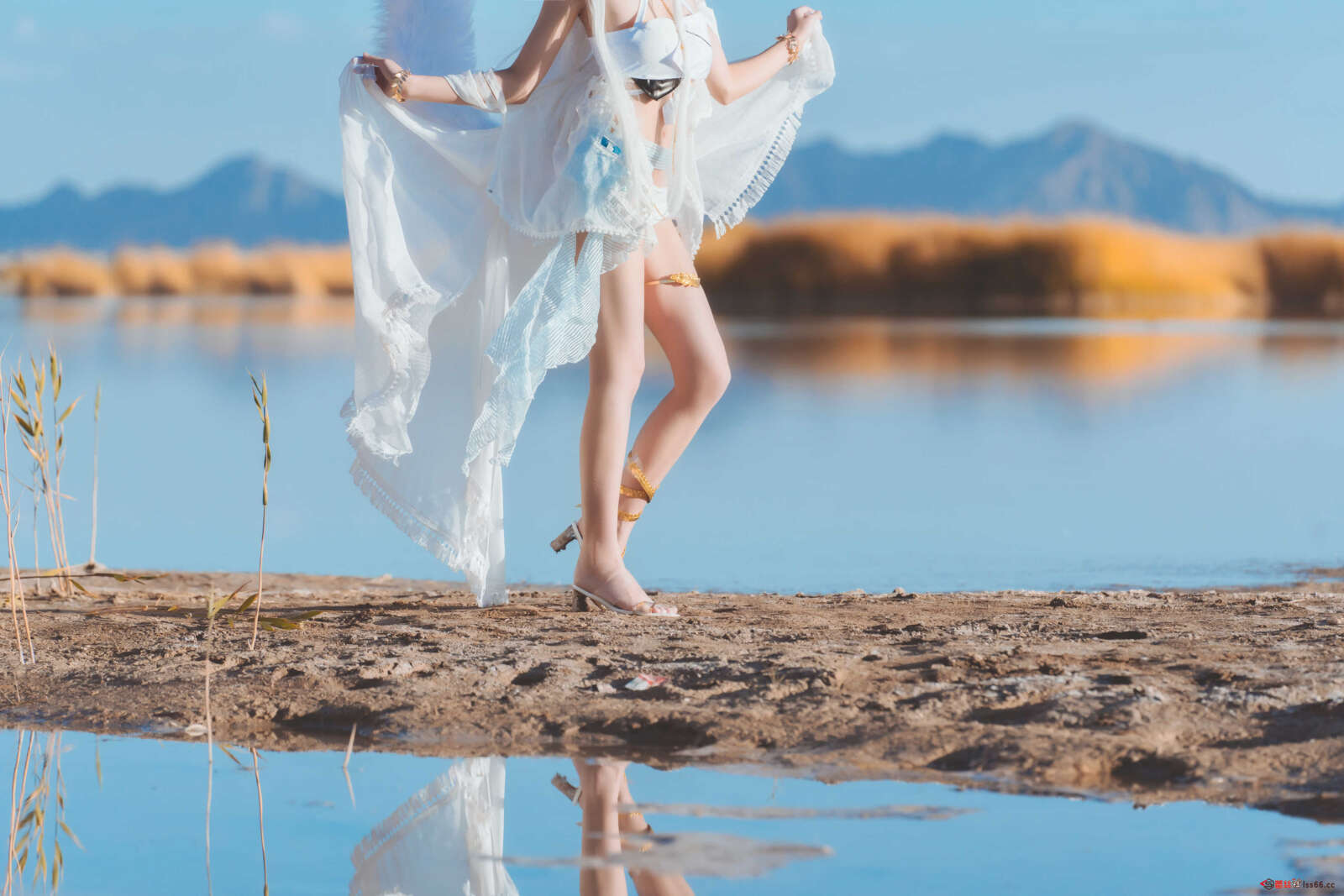 https://www.lss77.com/wp-content/uploads/2021/01/lss-17-13-1600x1067.jpg