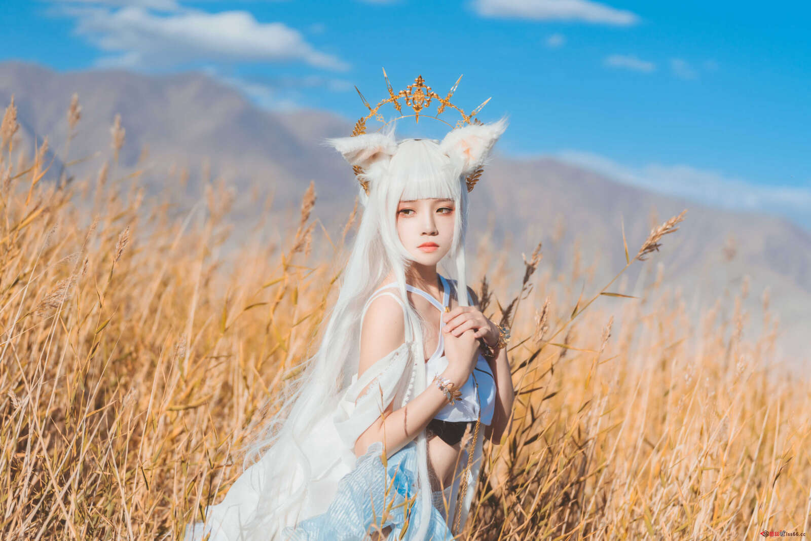 https://www.lss77.com/wp-content/uploads/2021/01/lss-18-13-1600x1067.jpg