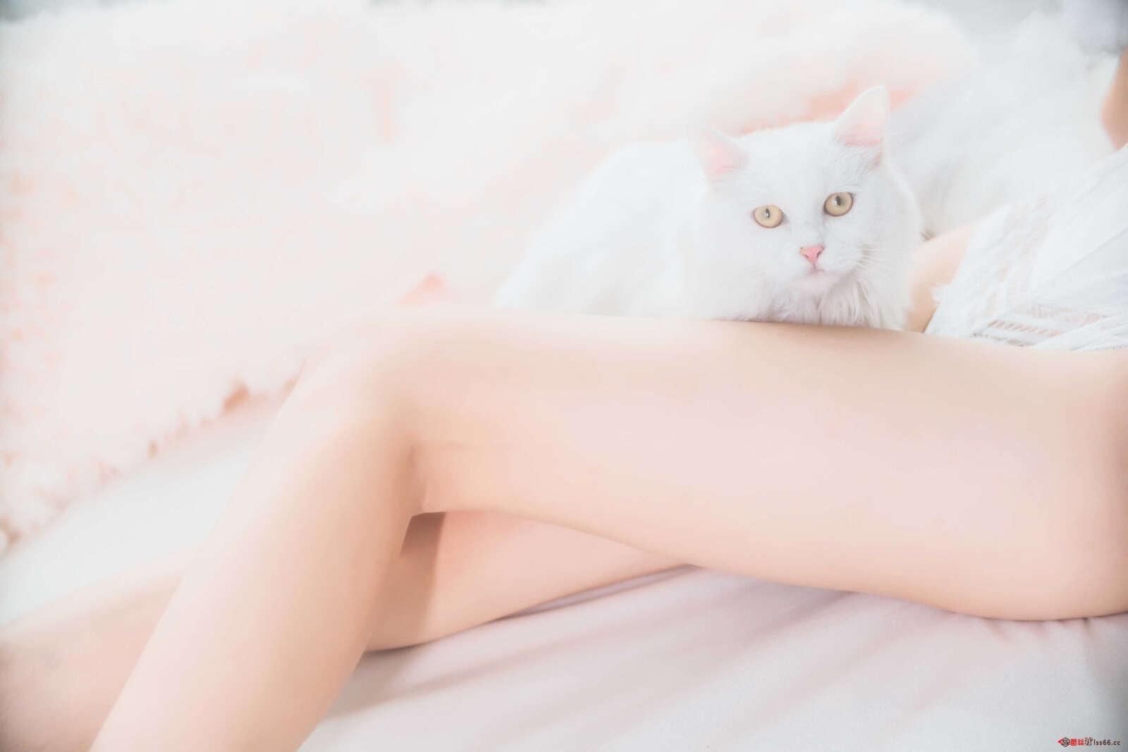https://www.lss77.com/wp-content/uploads/2021/01/lss-19-30-1600x1067.jpg