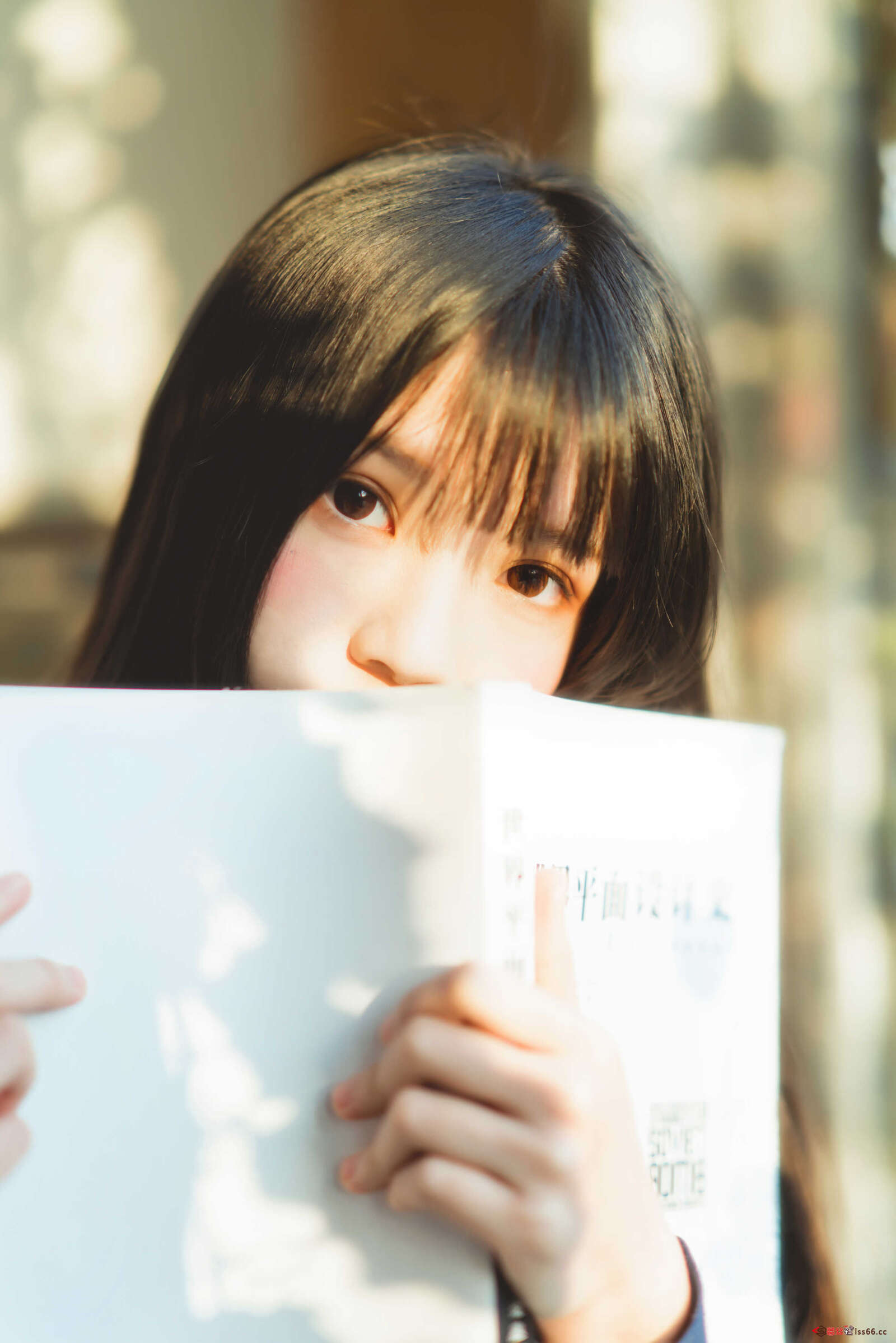 https://www.lss77.com/wp-content/uploads/2021/01/lss-22-24-1600x2398.jpg