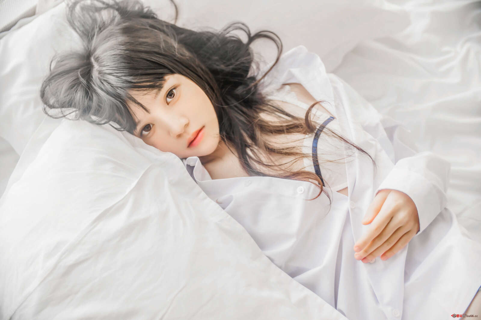 https://www.lss77.com/wp-content/uploads/2021/01/lss-3-1600x1067.jpg