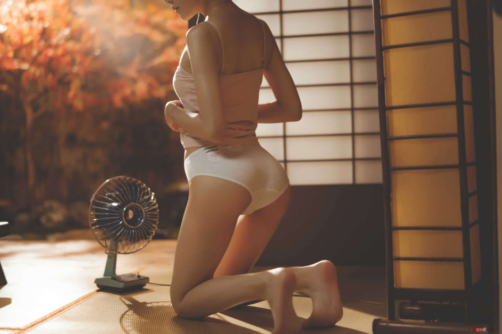 https://www.lss77.com/wp-content/uploads/2021/01/lss-30-5-1600x1067.jpg