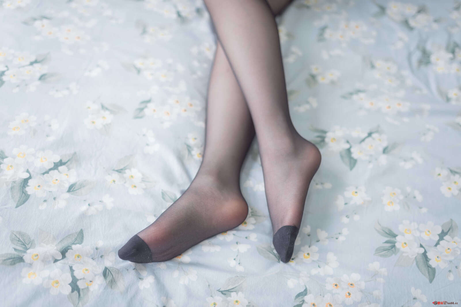 https://www.lss77.com/wp-content/uploads/2021/01/lss-31-15-1600x1068.jpg