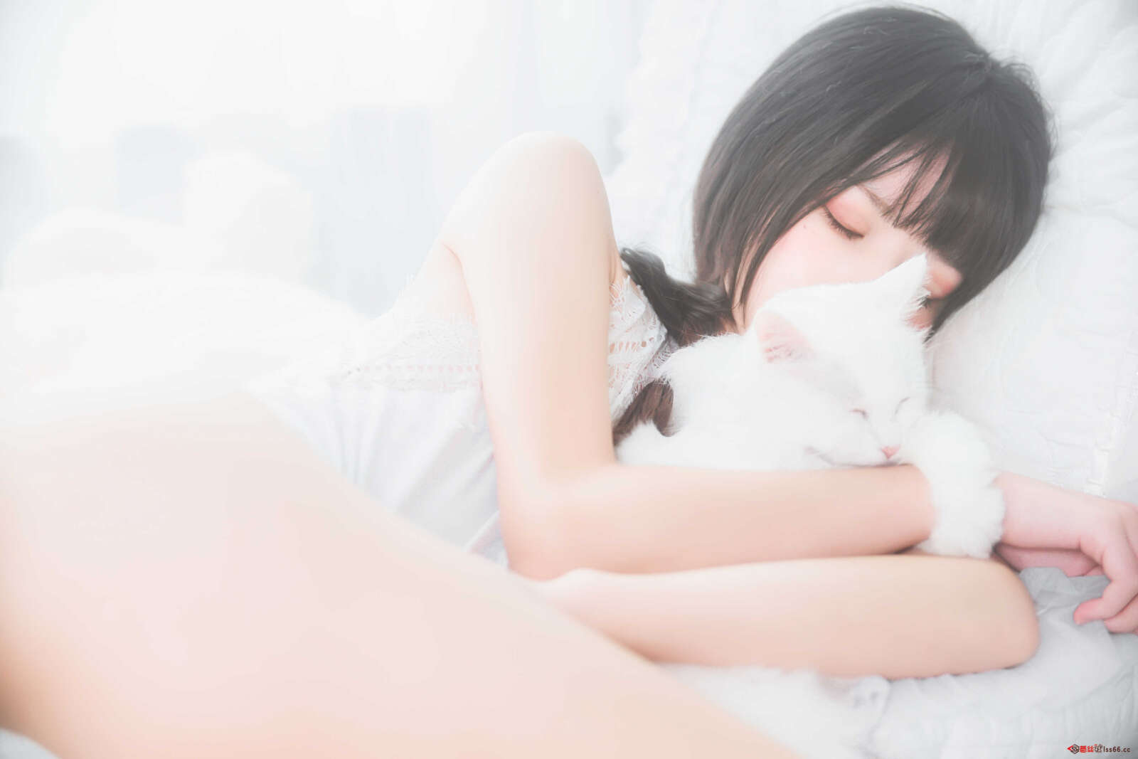 https://www.lss77.com/wp-content/uploads/2021/01/lss-36-7-1600x1067.jpg