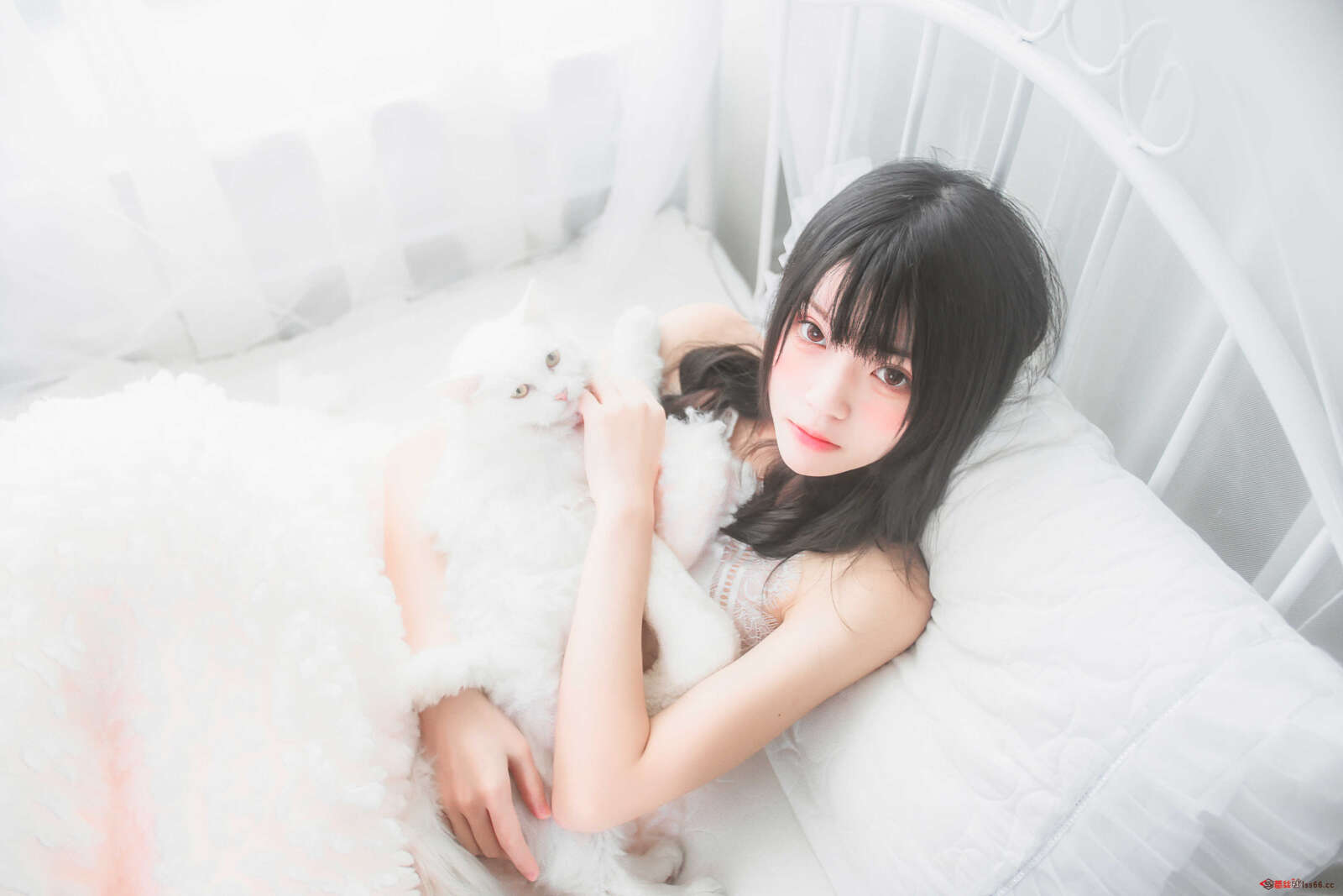 https://www.lss77.com/wp-content/uploads/2021/01/lss-4-34-1600x1067.jpg