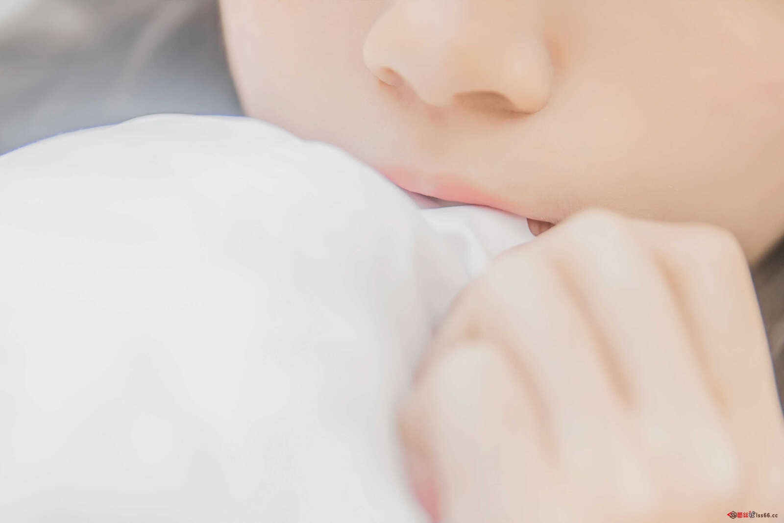 https://www.lss77.com/wp-content/uploads/2021/01/lss-43-1600x1067.jpg