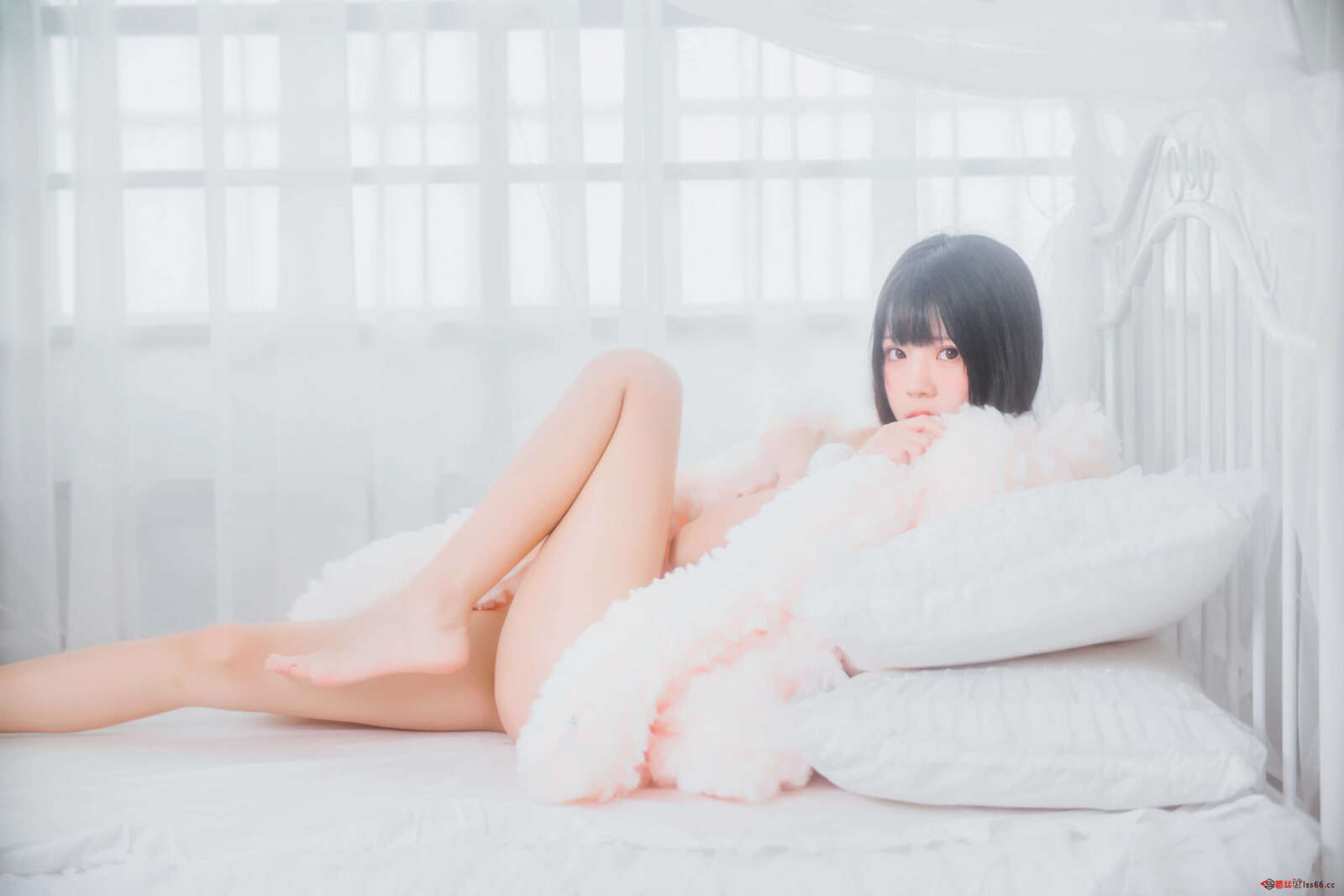 https://www.lss77.com/wp-content/uploads/2021/01/lss-45-3-1600x1067.jpg