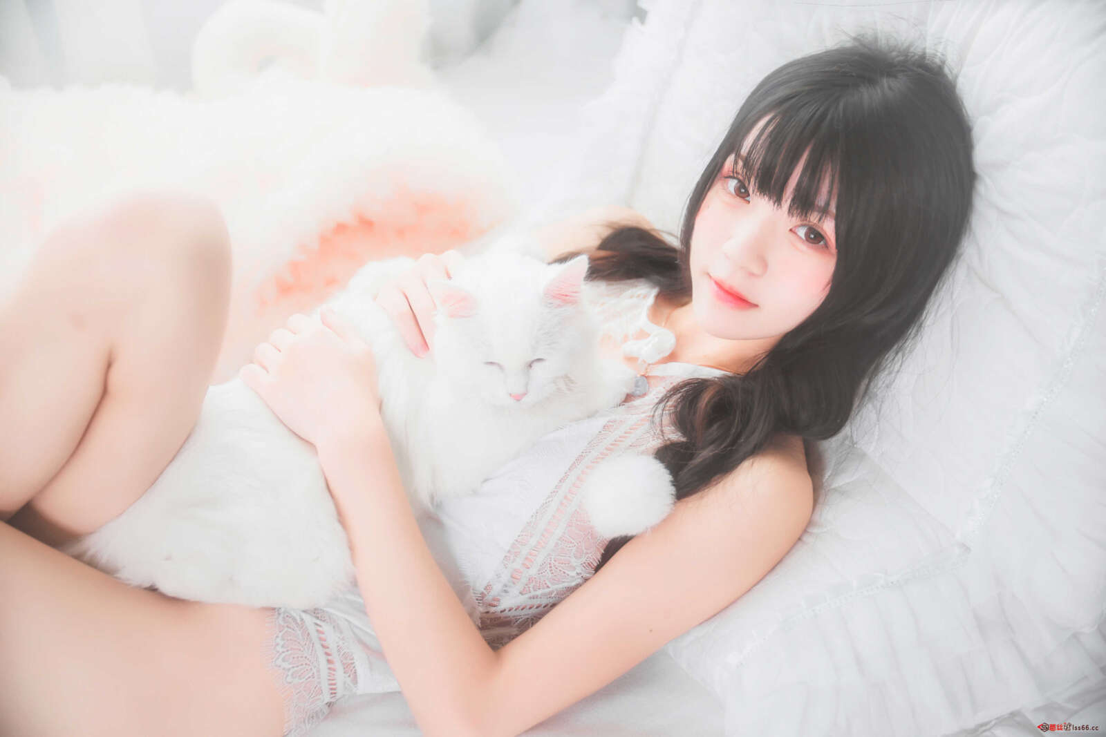 https://www.lss77.com/wp-content/uploads/2021/01/lss-6-35-1600x1067.jpg