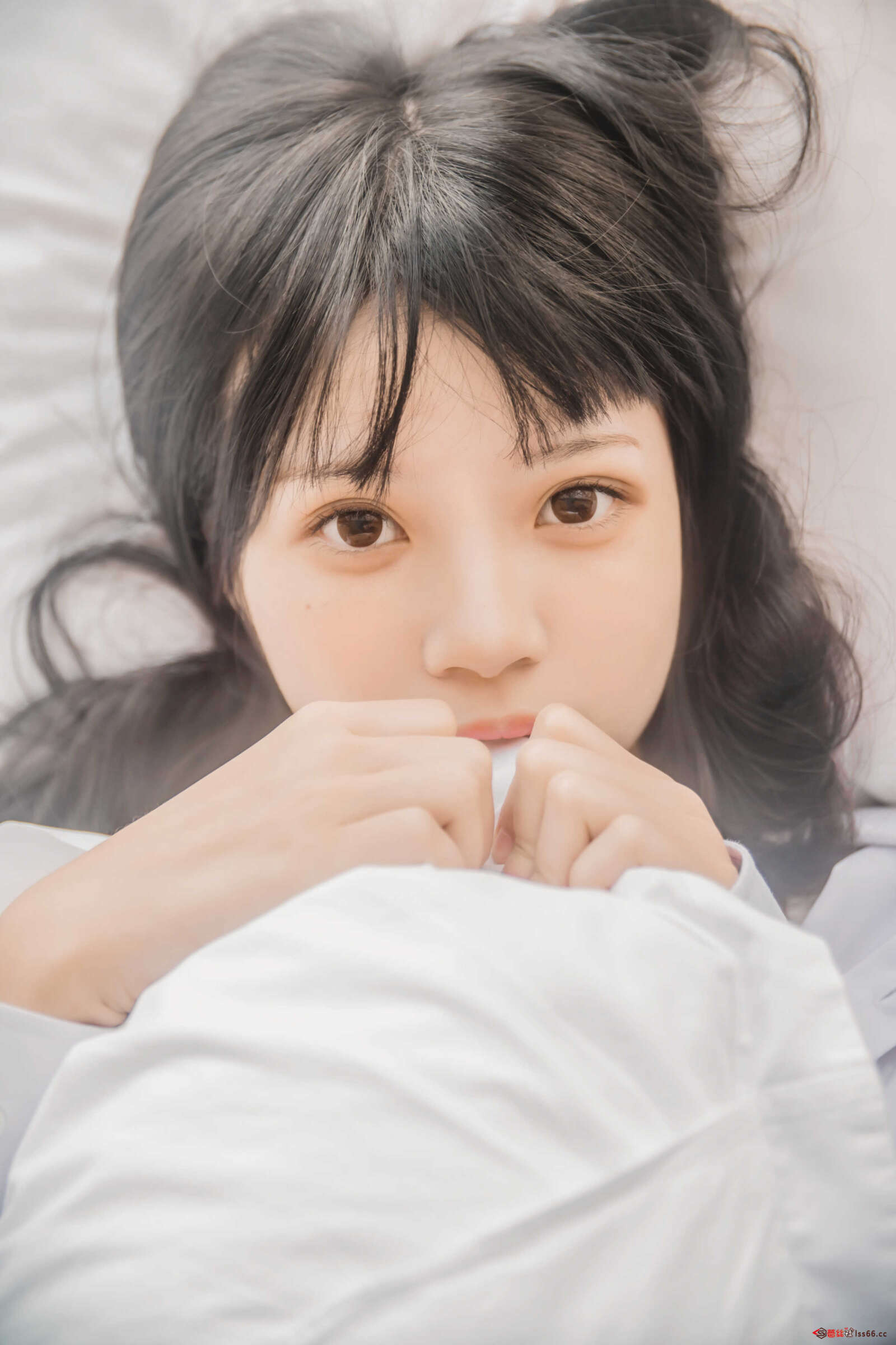https://www.lss77.com/wp-content/uploads/2021/01/lss-9-1600x2400.jpg