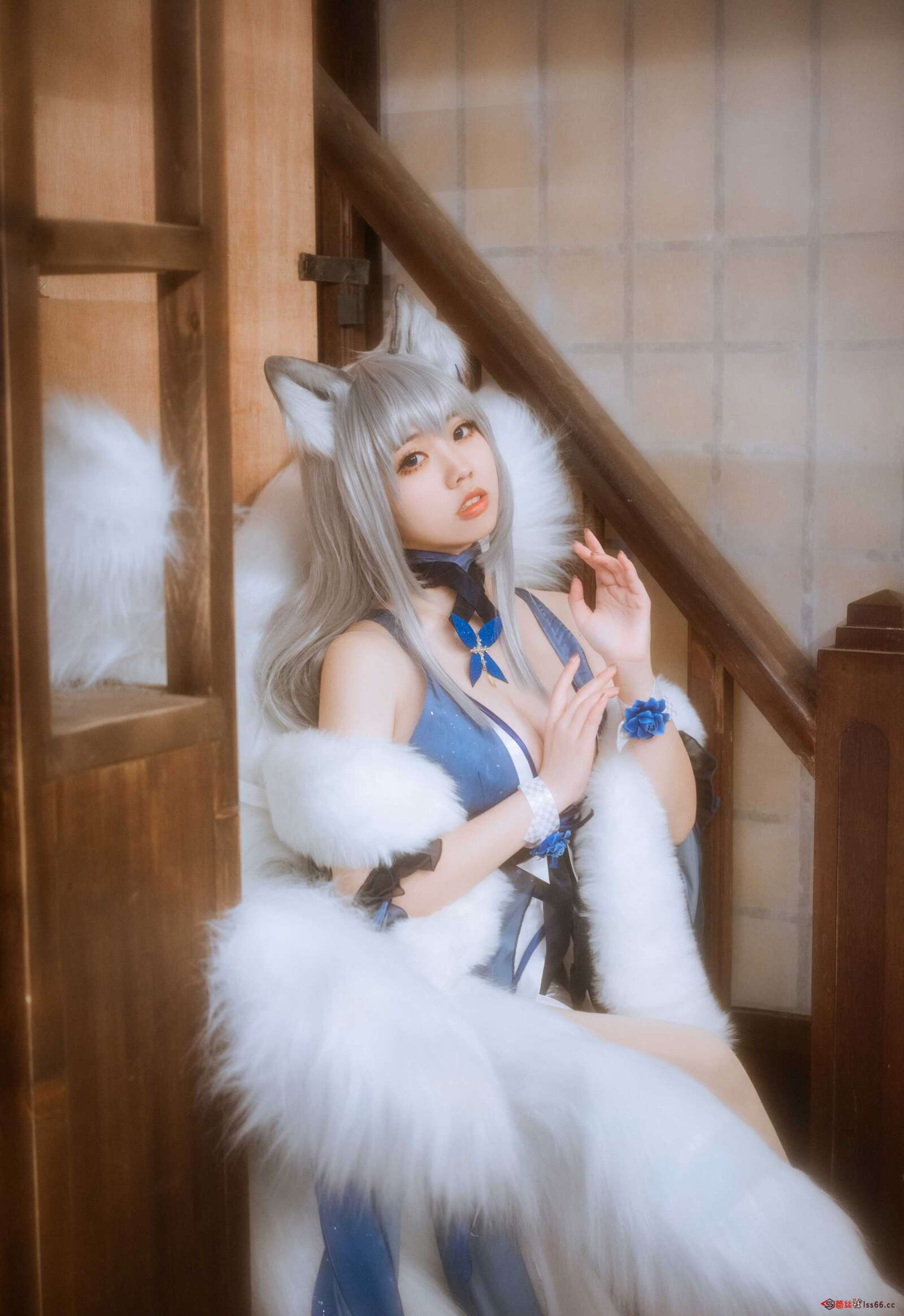 https://www.lss77.com/wp-content/uploads/2021/01/x-1-209-1600x2328.jpg