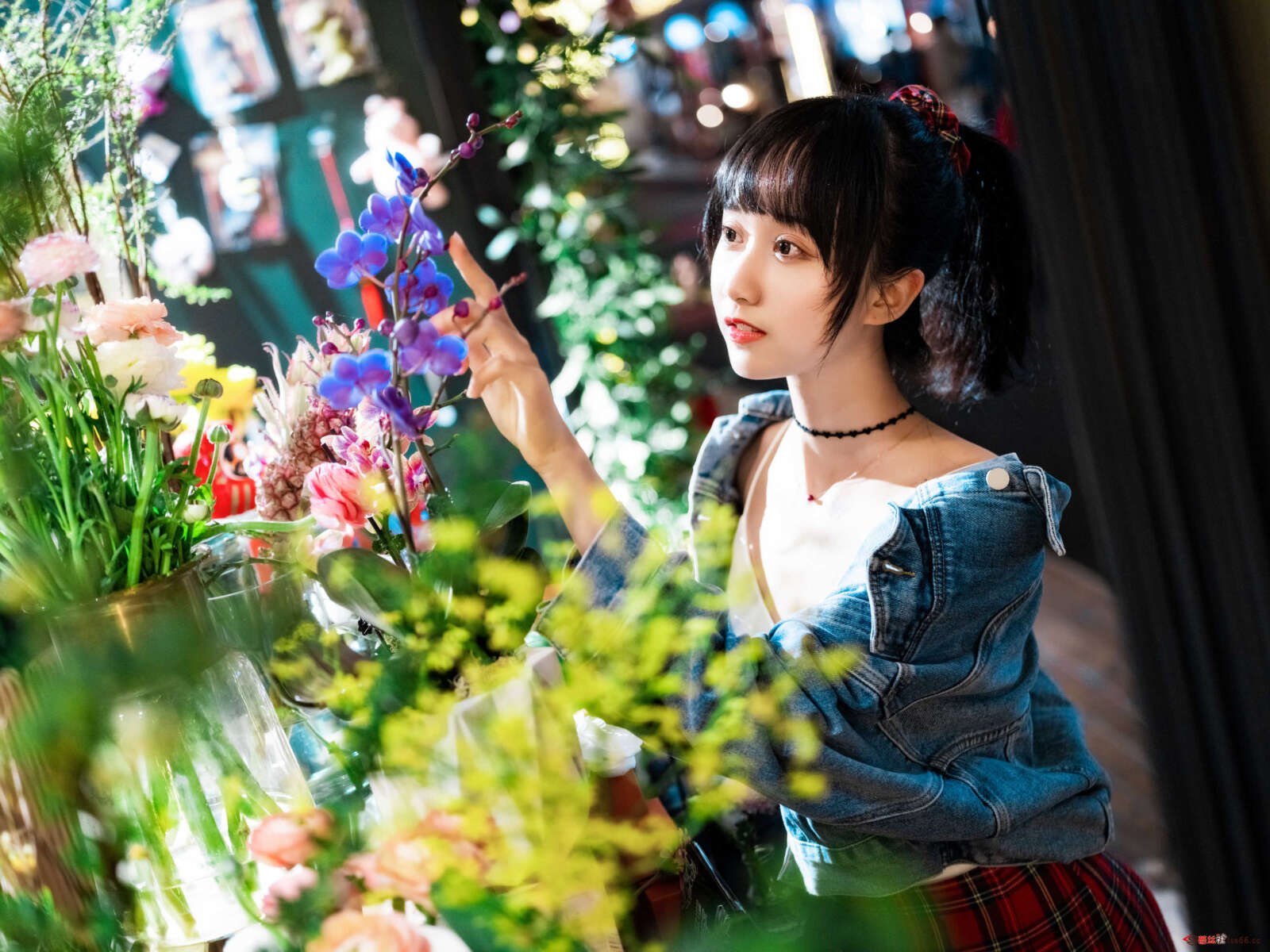 https://www.lss77.com/wp-content/uploads/2021/01/x-1-217-1600x1200.jpg
