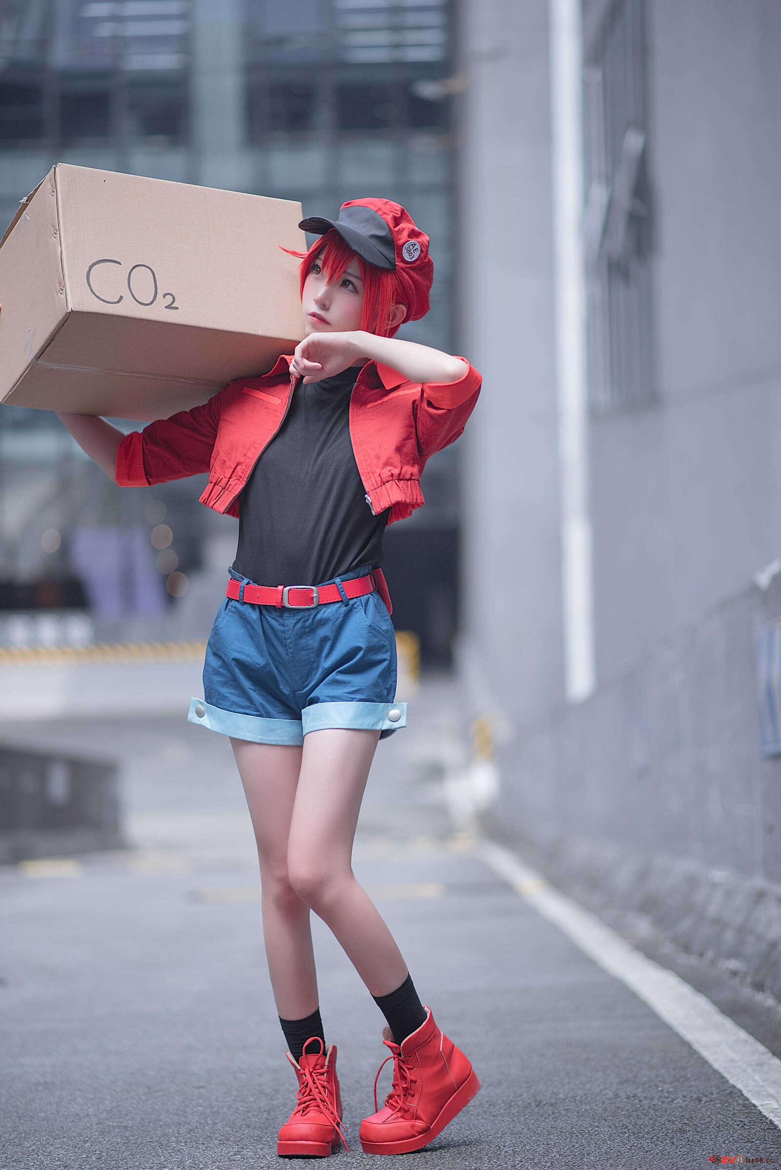 https://www.lss77.com/wp-content/uploads/2021/01/x-11-164-1600x2397.jpg