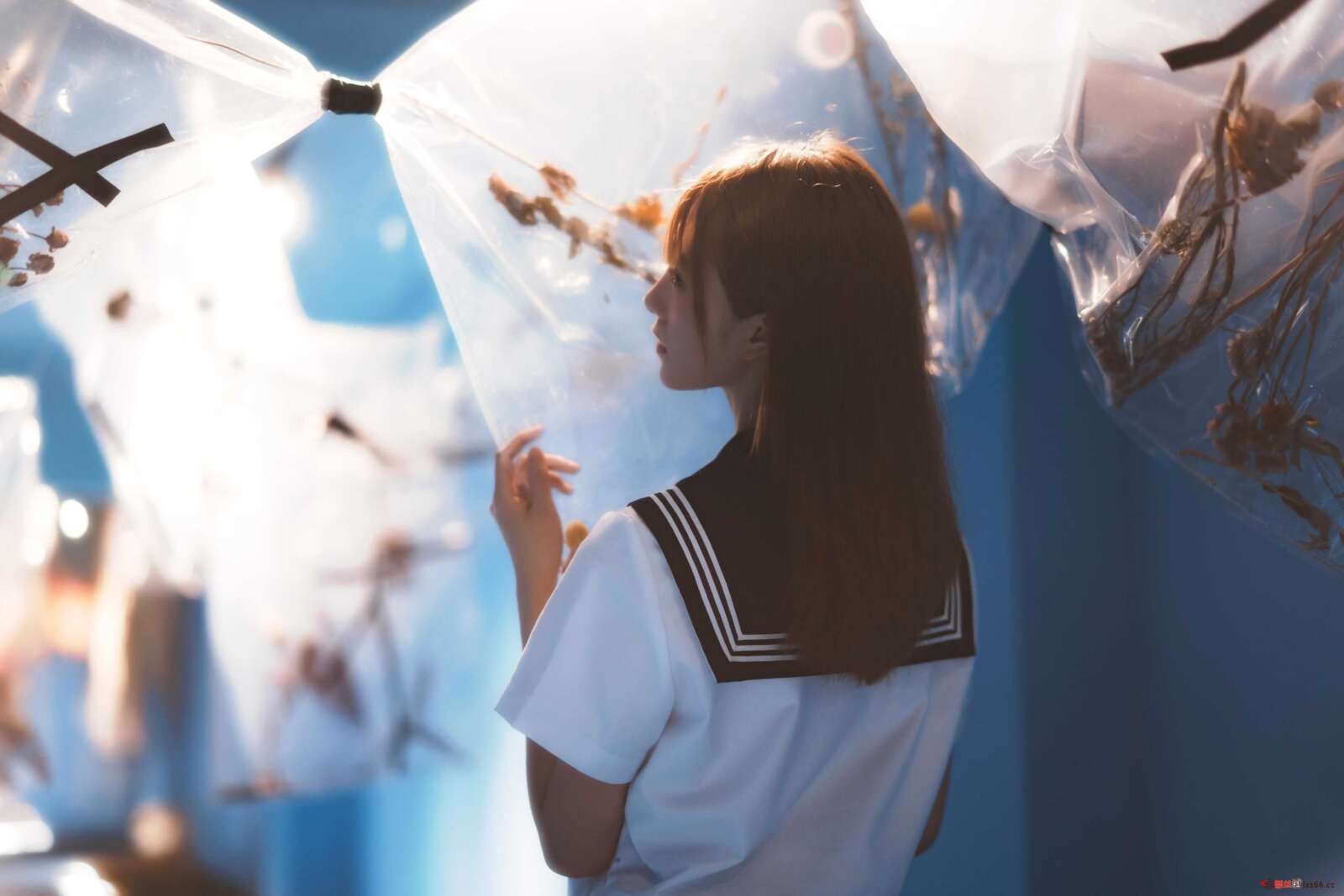 https://www.lss77.com/wp-content/uploads/2021/01/x-12-143-1600x1067.jpg