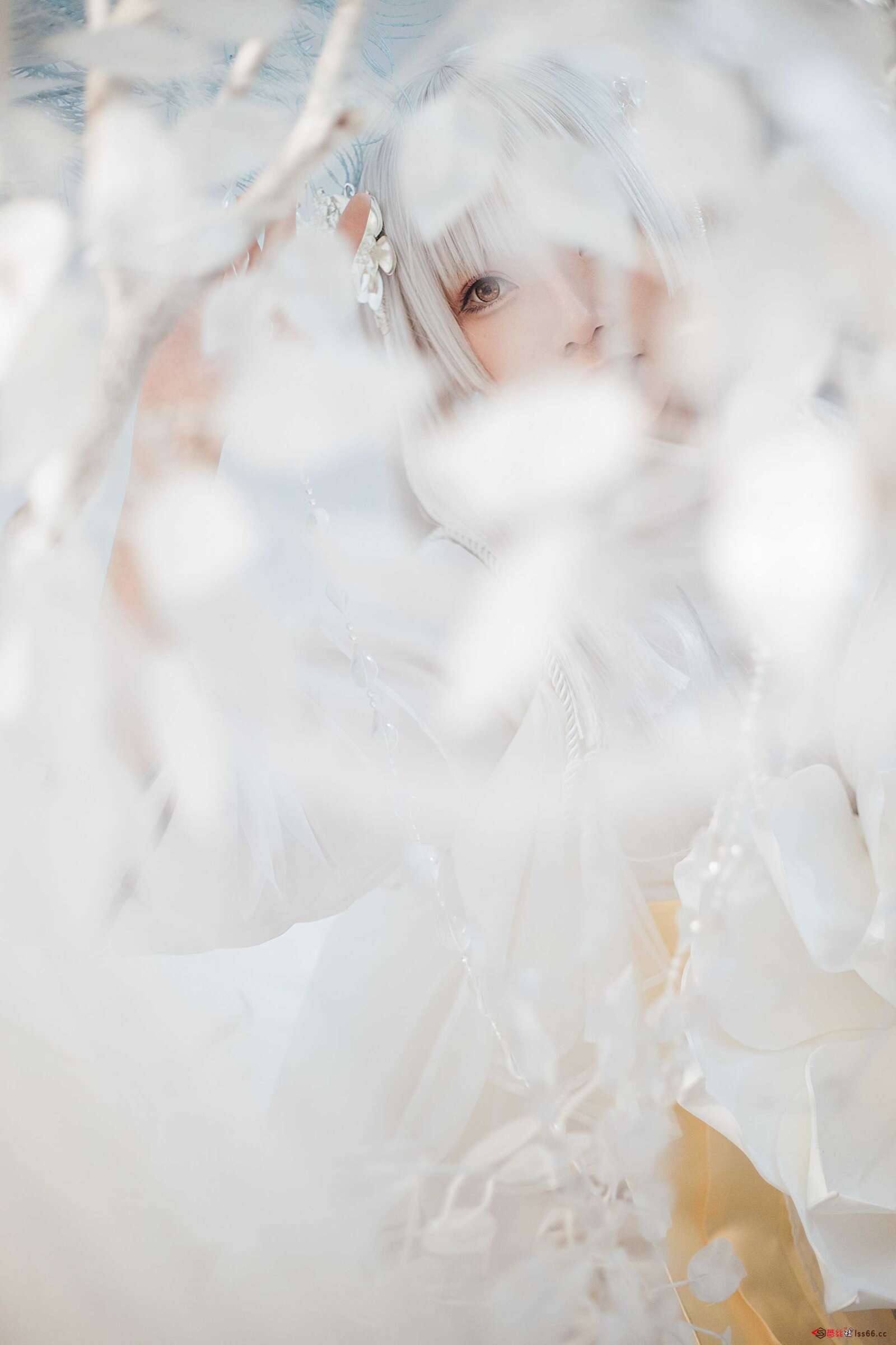 https://www.lss77.com/wp-content/uploads/2021/01/x-12-148-1600x2400.jpg