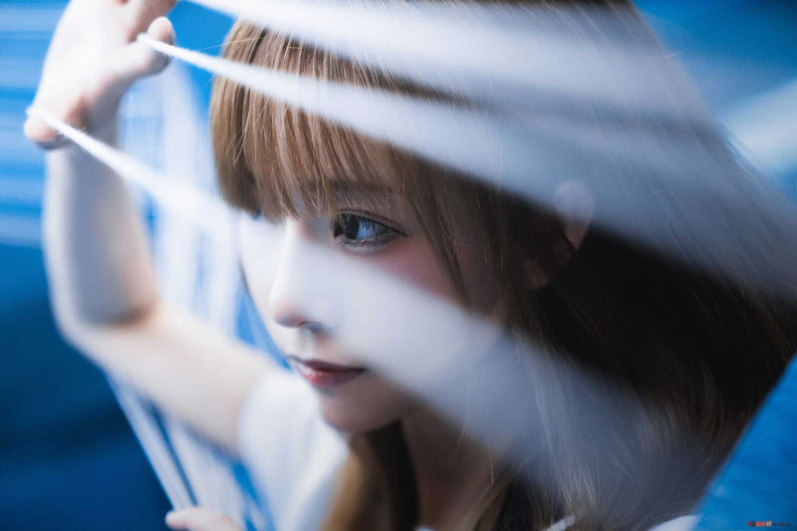 https://www.lss77.com/wp-content/uploads/2021/01/x-2-155-1600x1067.jpg