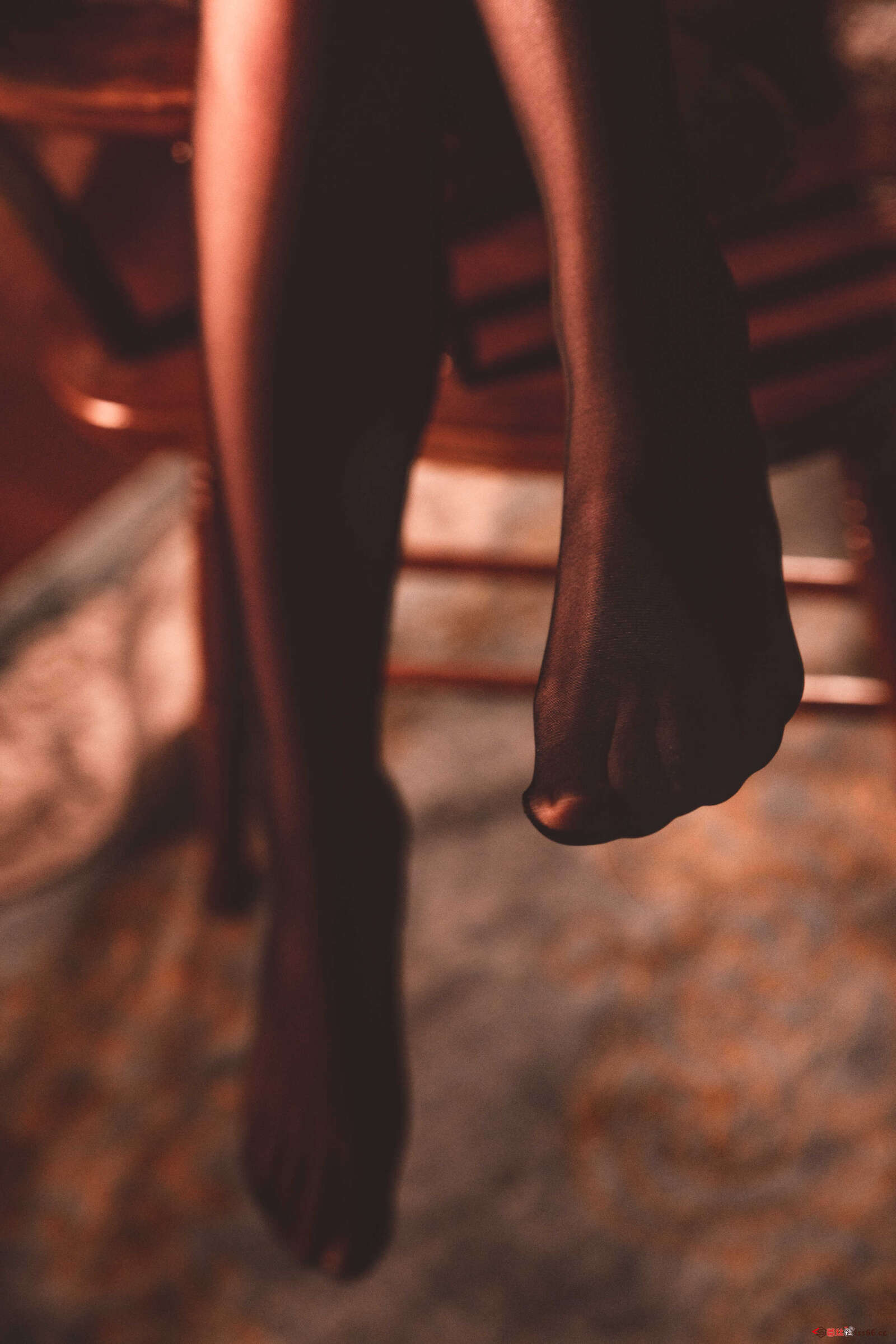 https://www.lss77.com/wp-content/uploads/2021/01/x-2-160-1600x2398.jpg