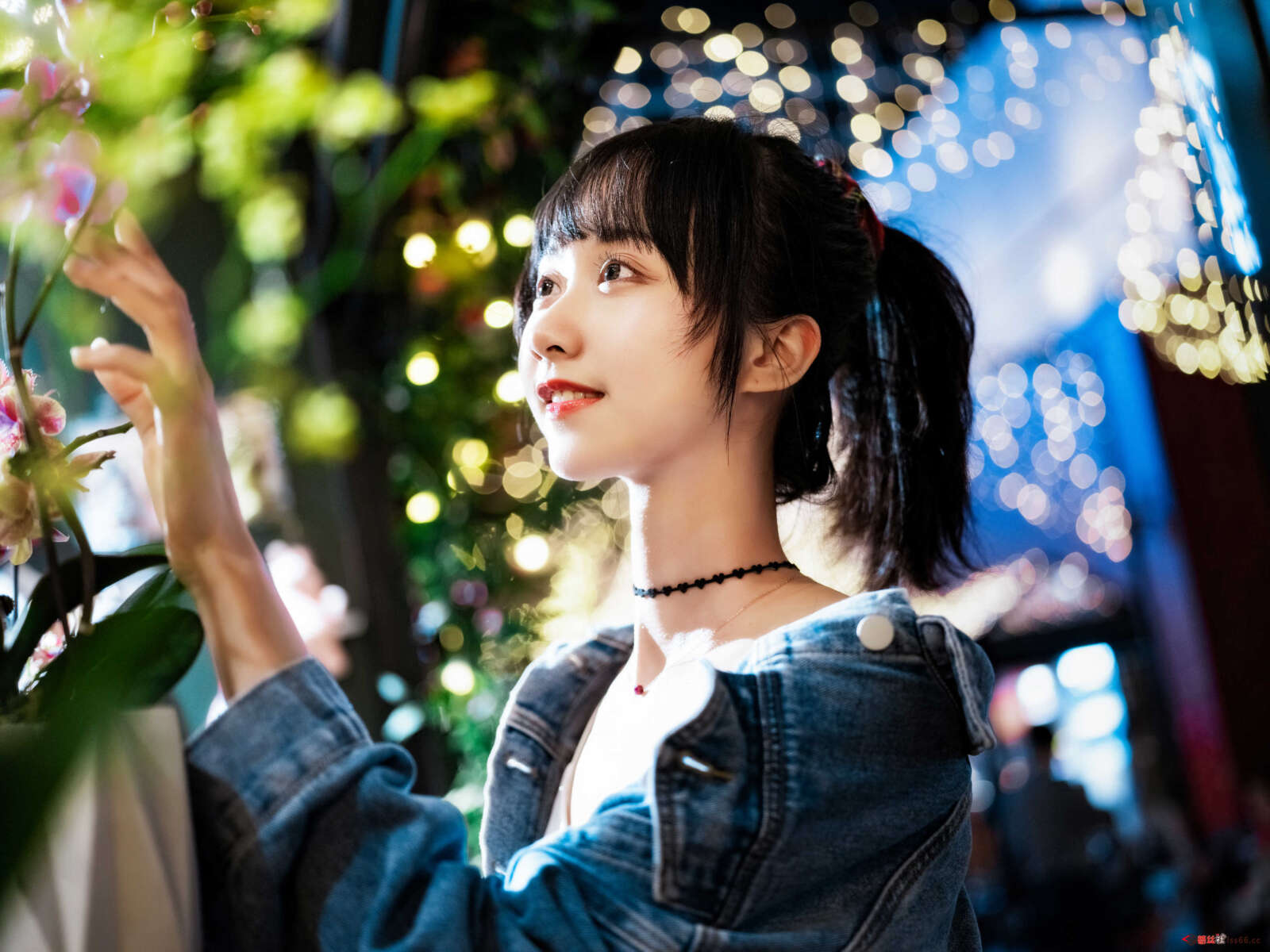 https://www.lss77.com/wp-content/uploads/2021/01/x-2-216-1600x1200.jpg