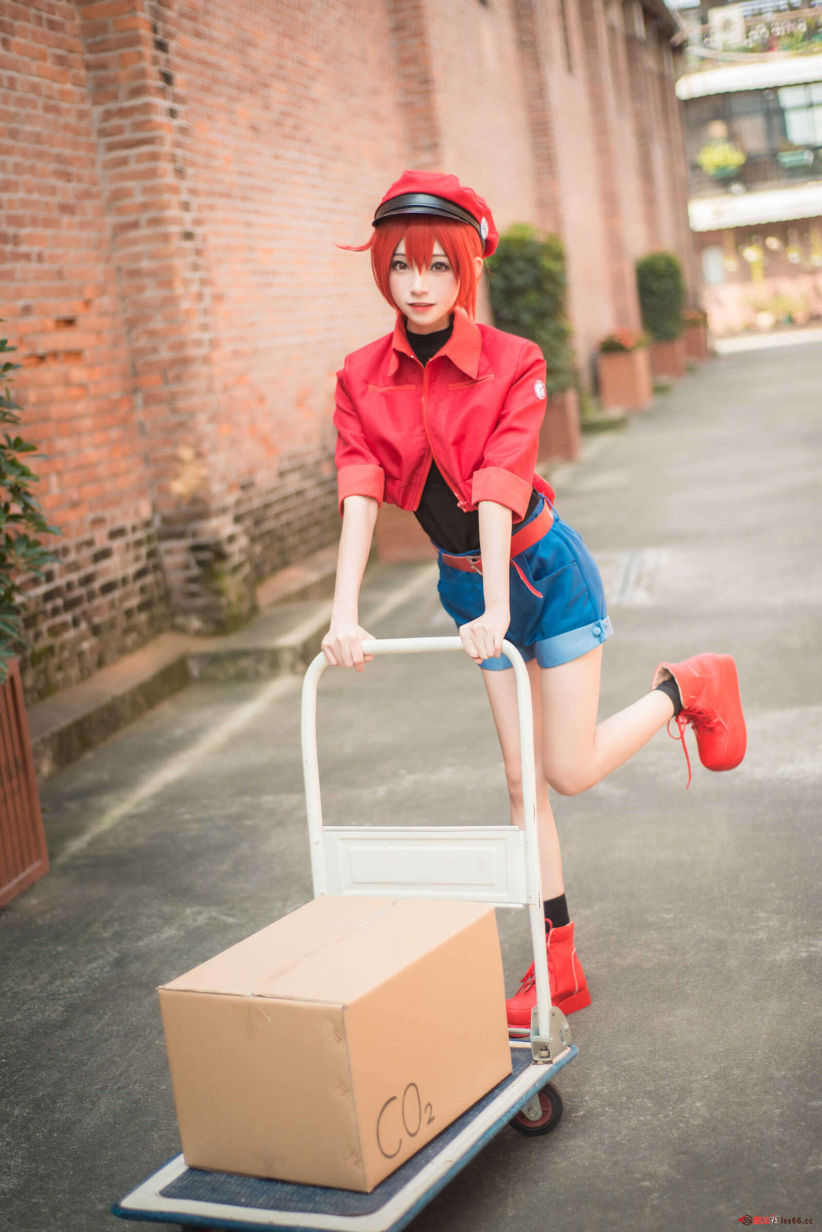 https://www.lss77.com/wp-content/uploads/2021/01/x-21-95-1600x2397.jpg