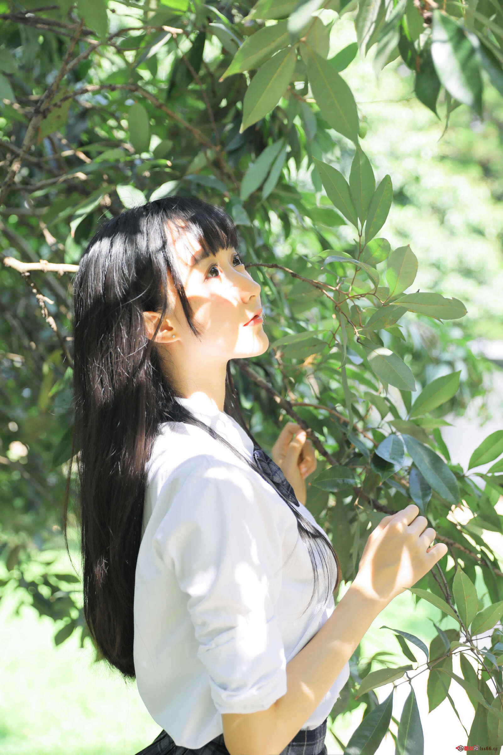 https://www.lss77.com/wp-content/uploads/2021/01/x-23-40-1600x2400.jpg