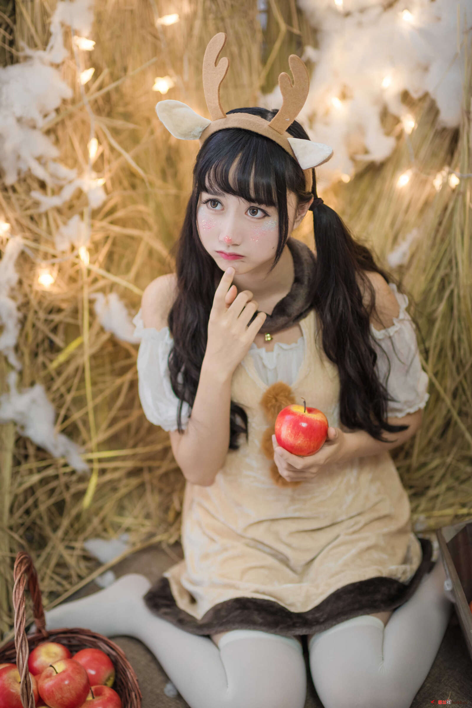 https://www.lss77.com/wp-content/uploads/2021/01/x-24-146-1600x2397.jpg