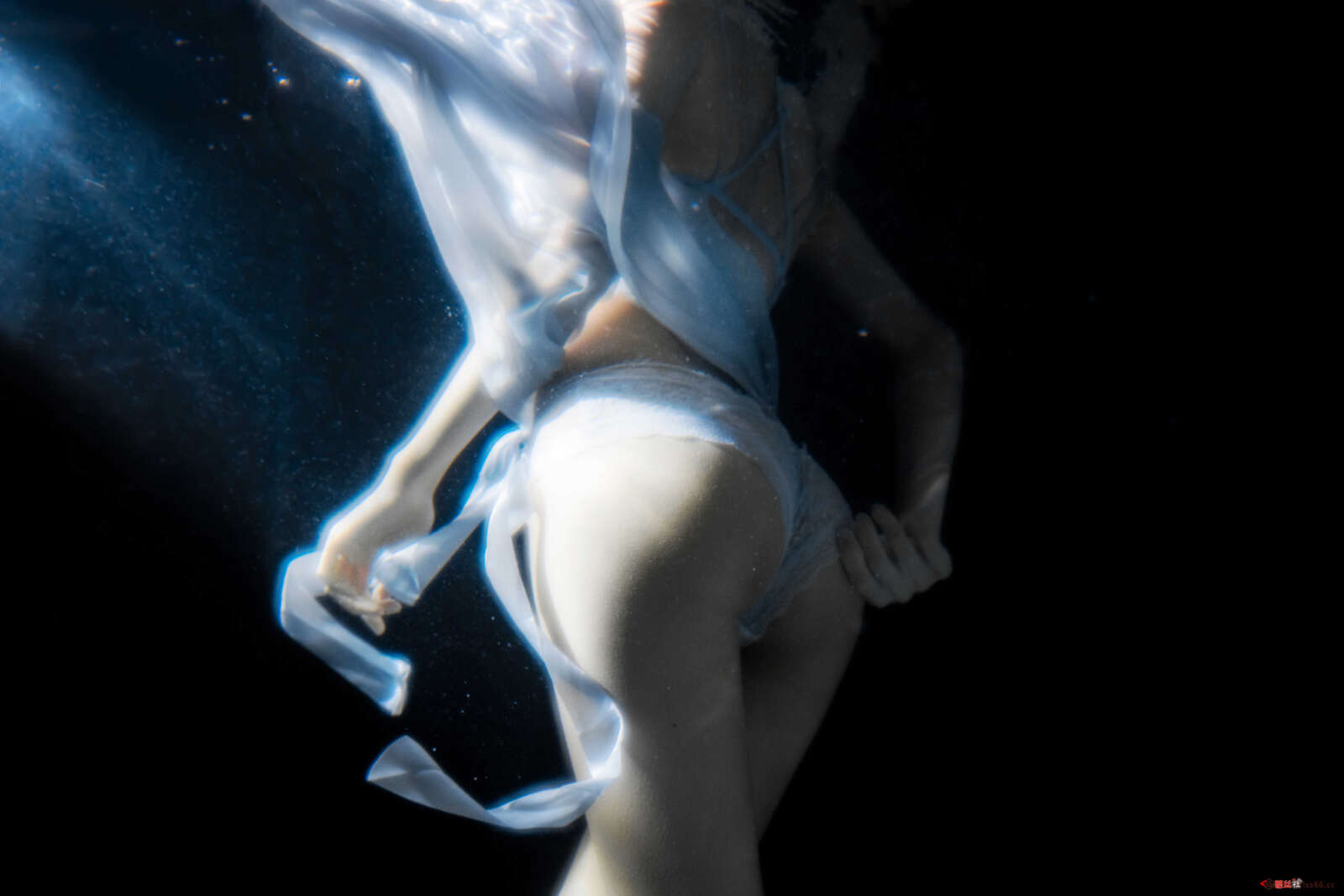 https://www.lss77.com/wp-content/uploads/2021/01/x-24-54-1600x1067.jpg