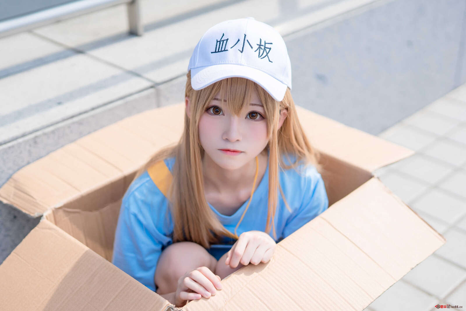 https://www.lss77.com/wp-content/uploads/2021/01/x-26-114-1600x1067.jpg