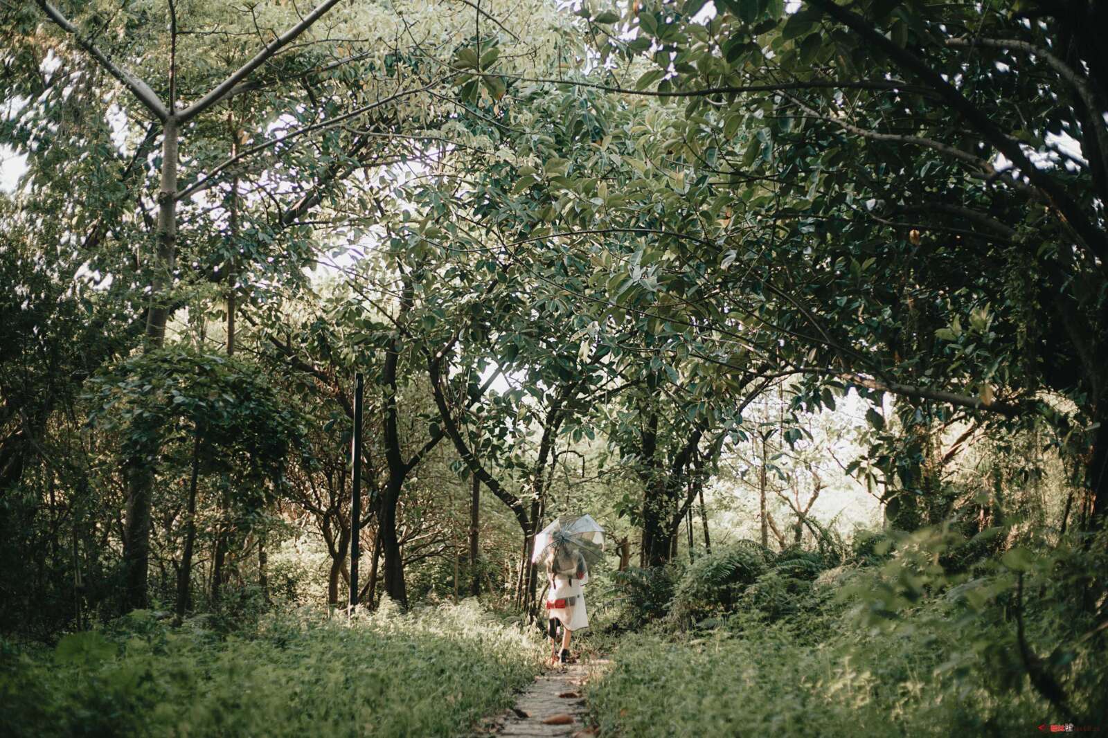 https://www.lss77.com/wp-content/uploads/2021/01/x-26-20-1600x1066.jpg