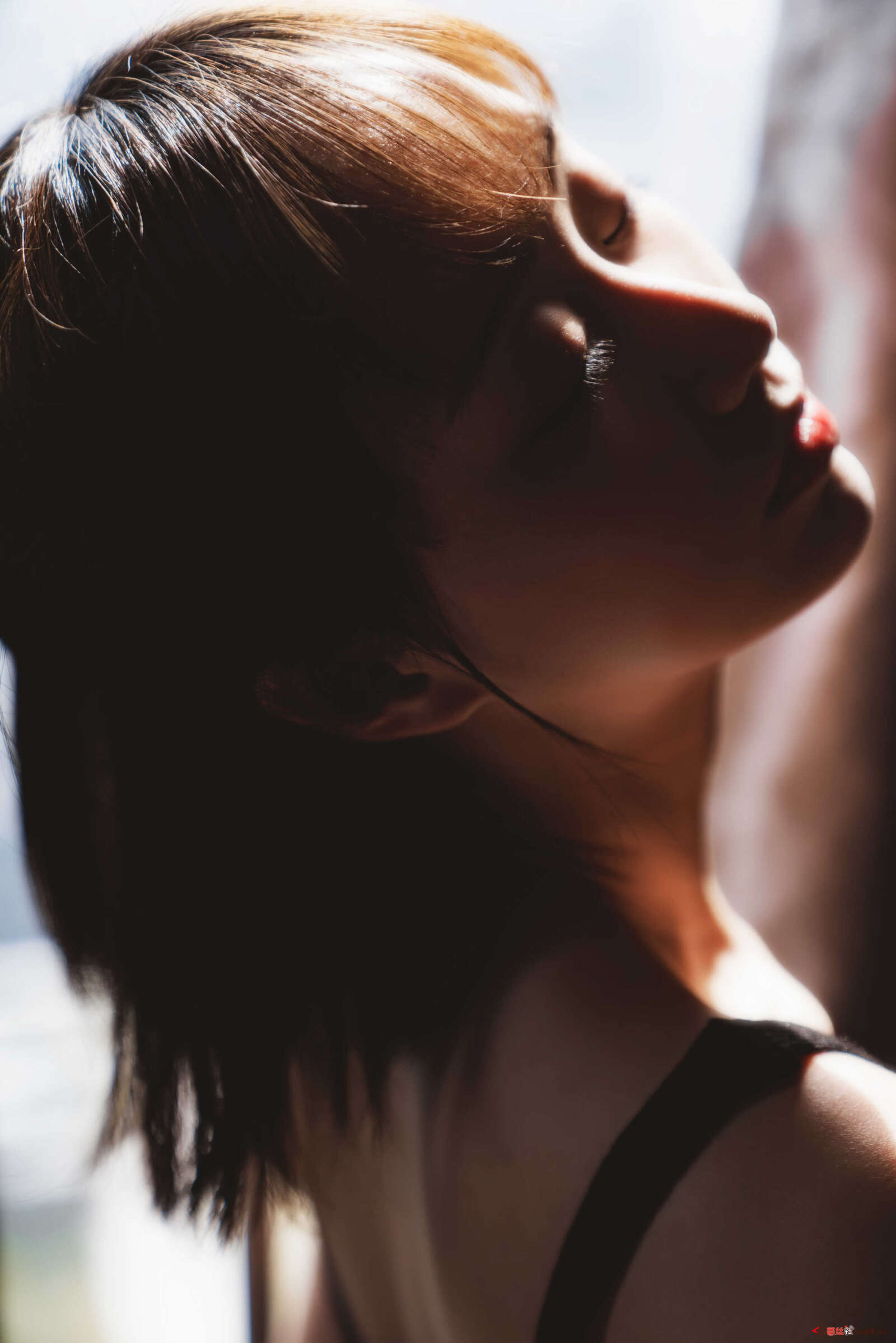 https://www.lss77.com/wp-content/uploads/2021/01/x-29-46-1600x2398.jpg