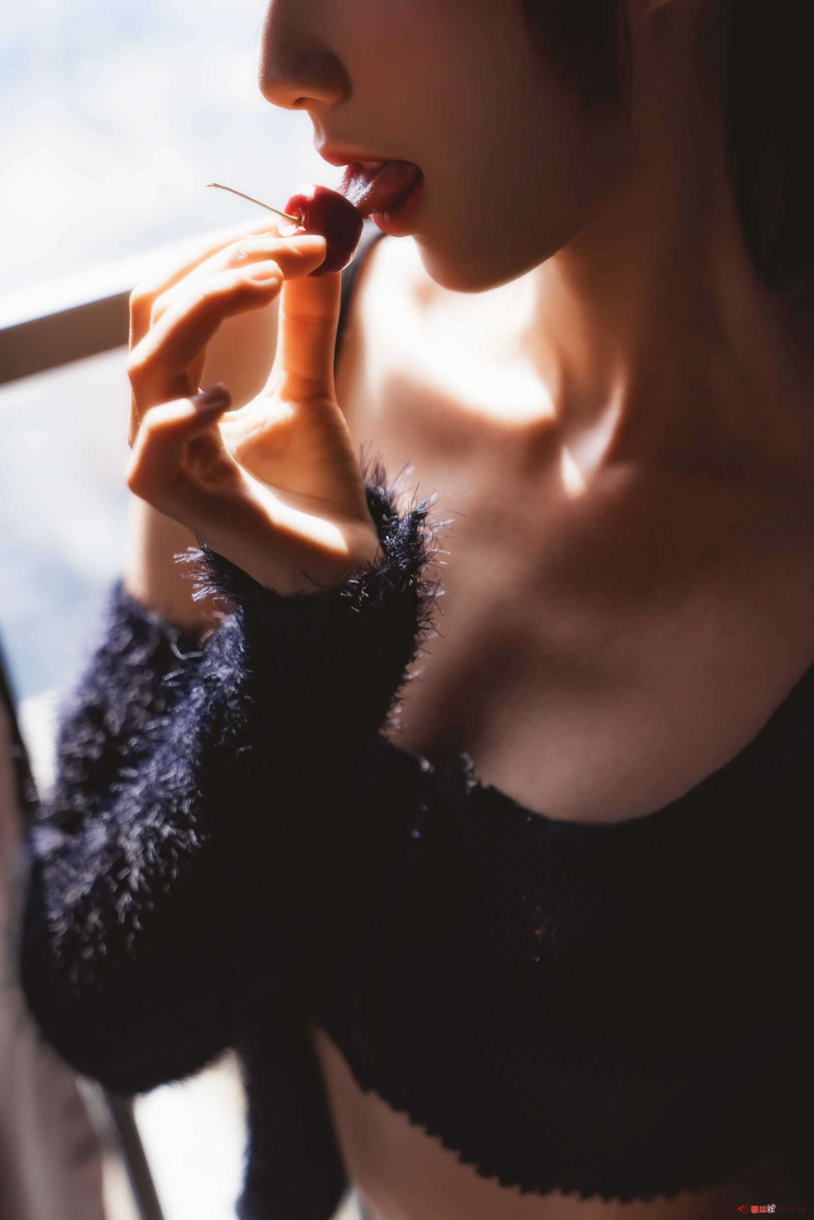 https://www.lss77.com/wp-content/uploads/2021/01/x-39-30-1600x2398.jpg