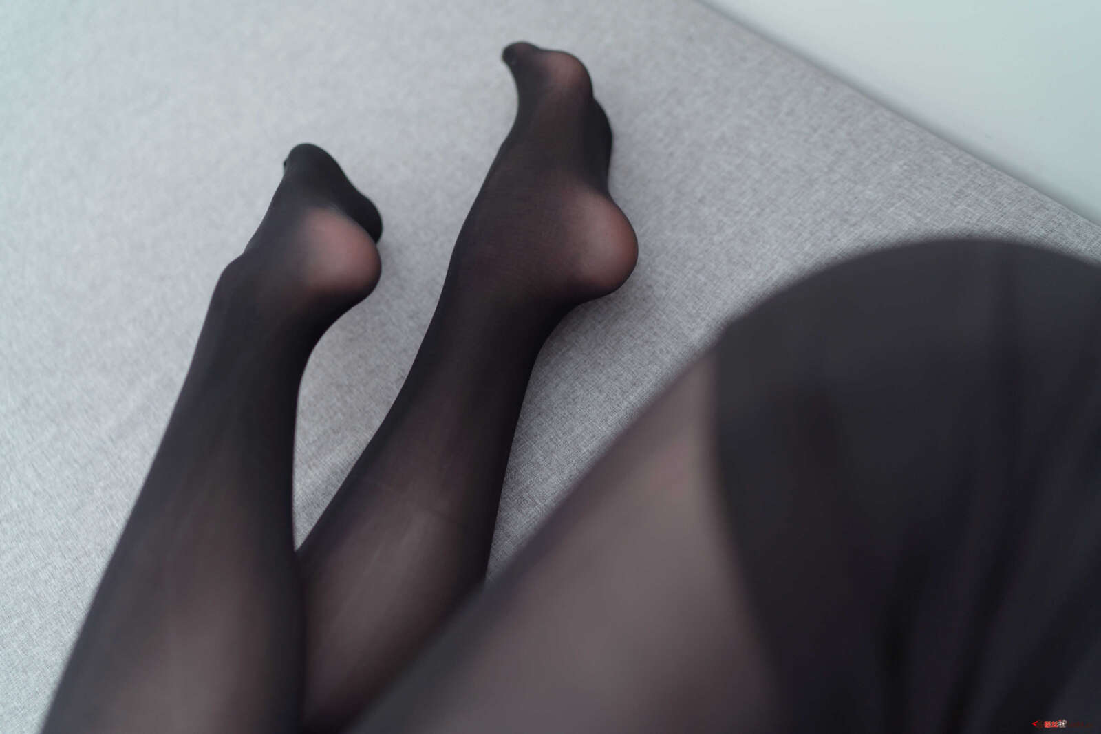 https://www.lss77.com/wp-content/uploads/2021/01/x-5-187-1600x1067.jpg