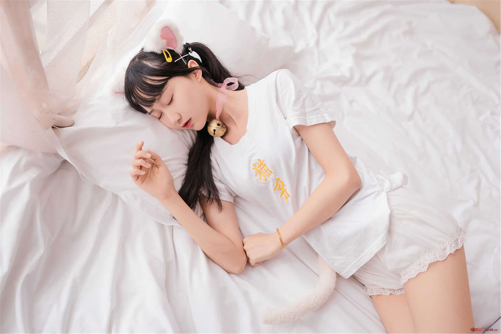 https://www.lss77.com/wp-content/uploads/2021/01/x-6-195-1600x1067.jpg