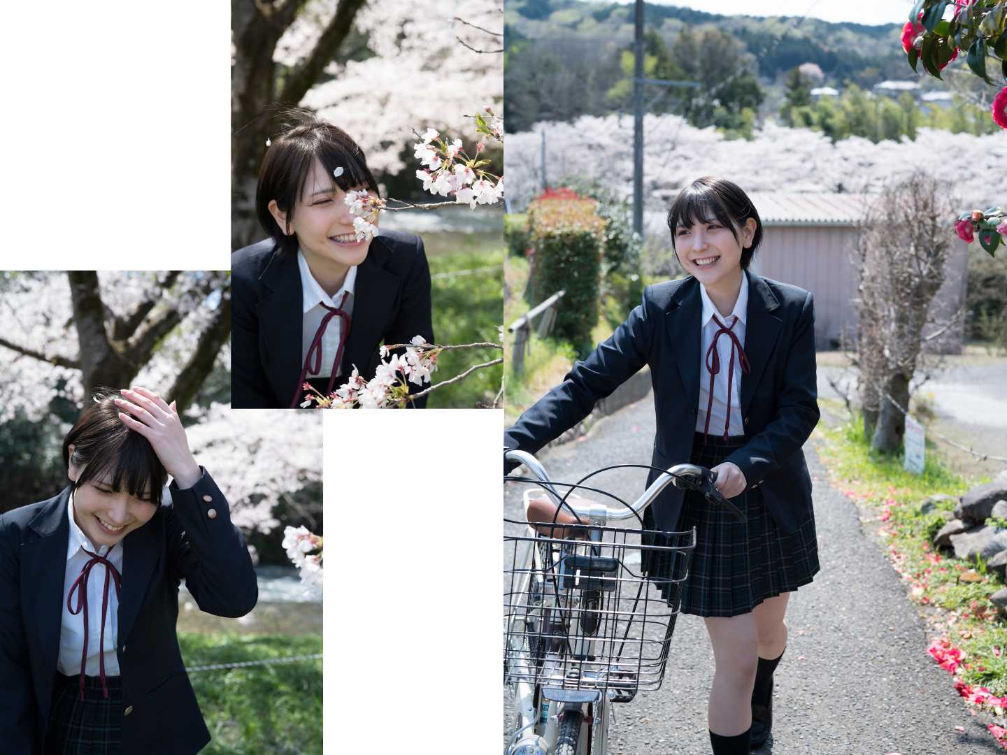 https://www.lss77.com/wp-content/uploads/2021/02/3-2.jpg