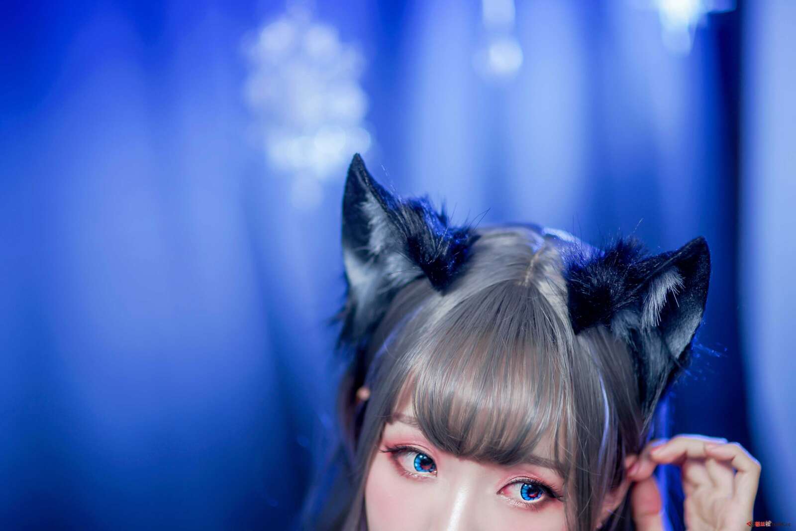https://www.lss77.com/wp-content/uploads/2021/02/5-34-1600x1067.jpg