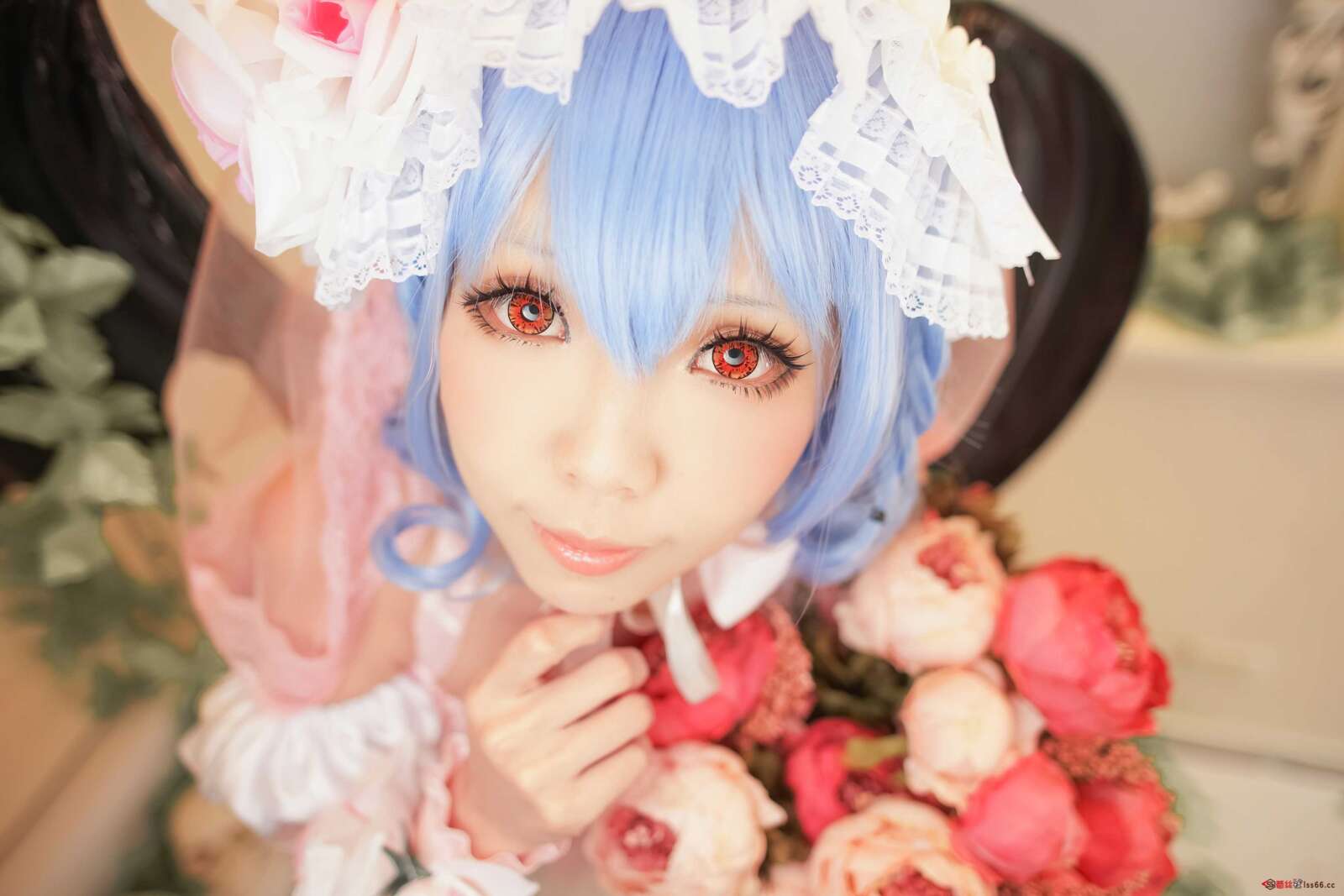 https://www.lss77.com/wp-content/uploads/2021/02/66-2-1600x1067.jpg