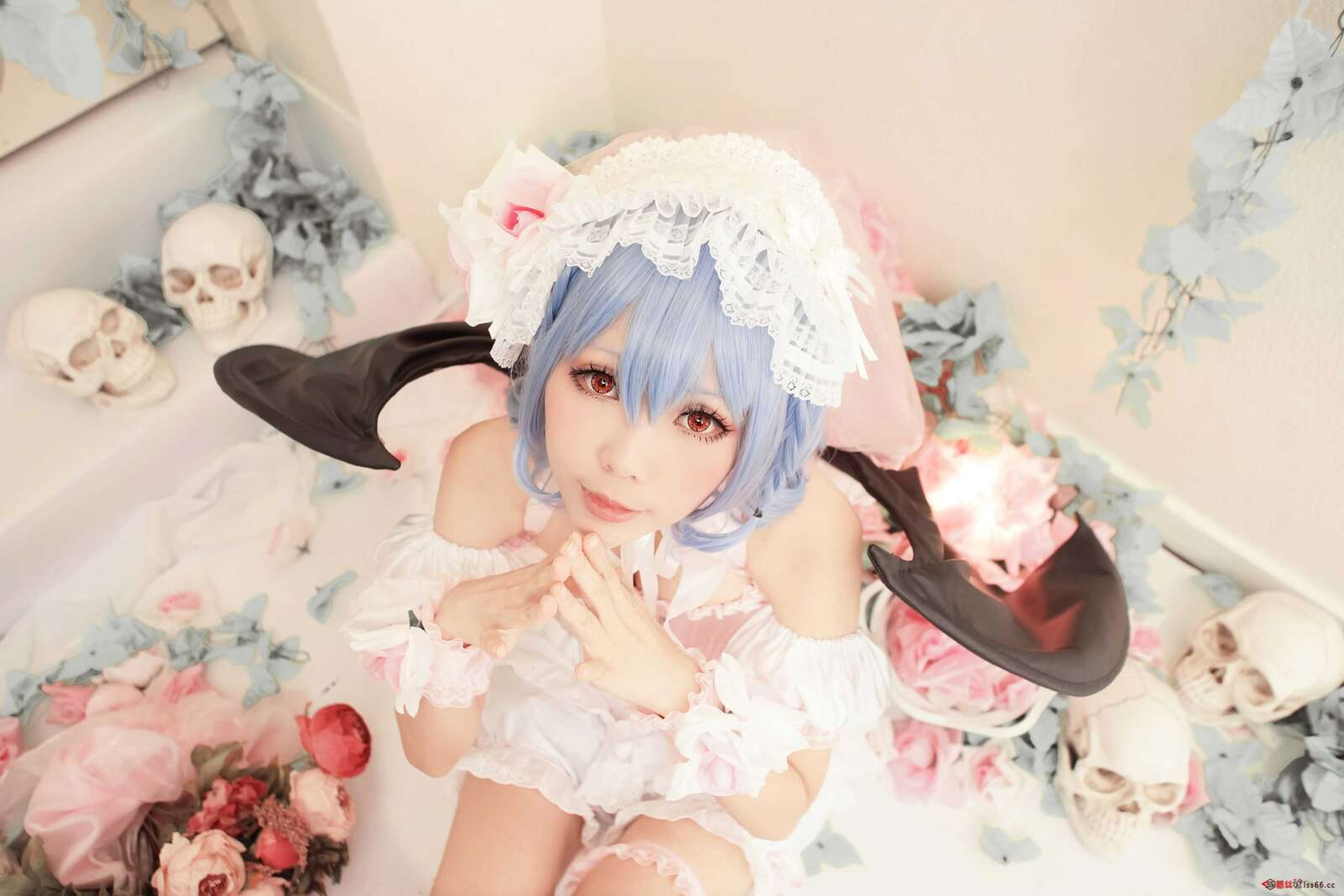 https://www.lss77.com/wp-content/uploads/2021/02/90-1-1600x1067.jpg